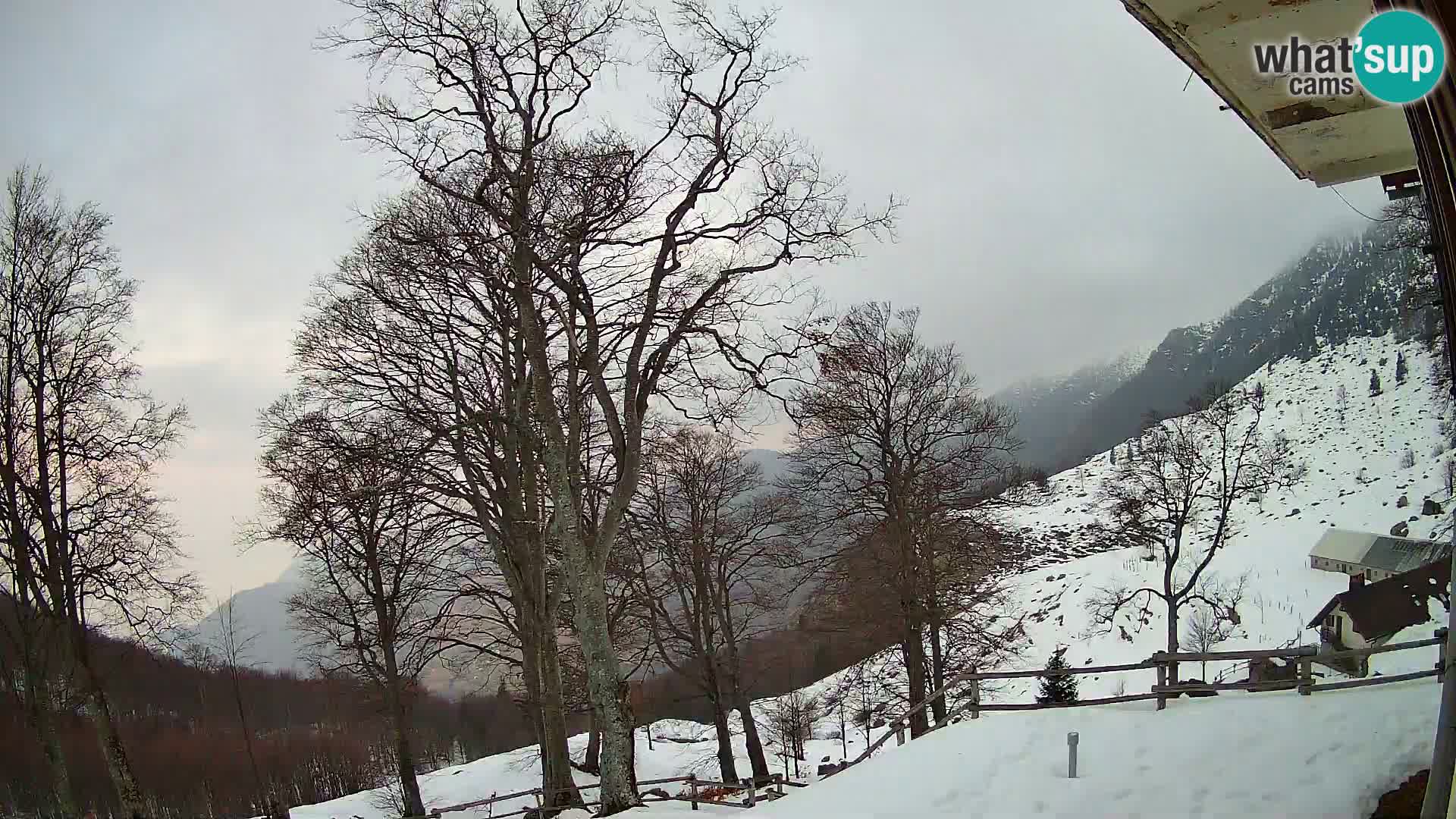 Baita di montagna Planina Razor webcam (1315) | vista su Tolminski Migovec