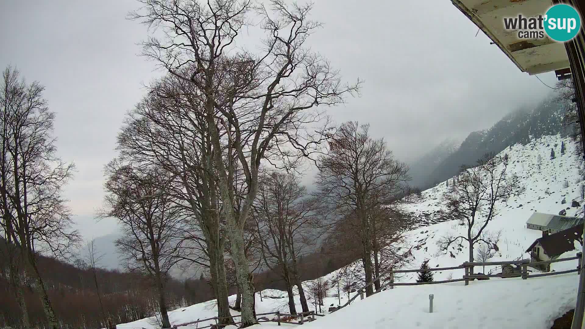 Cámara en vivo de la cabaña de montaña Planina Razor (1315) | vista hacia Tolminski Migovec