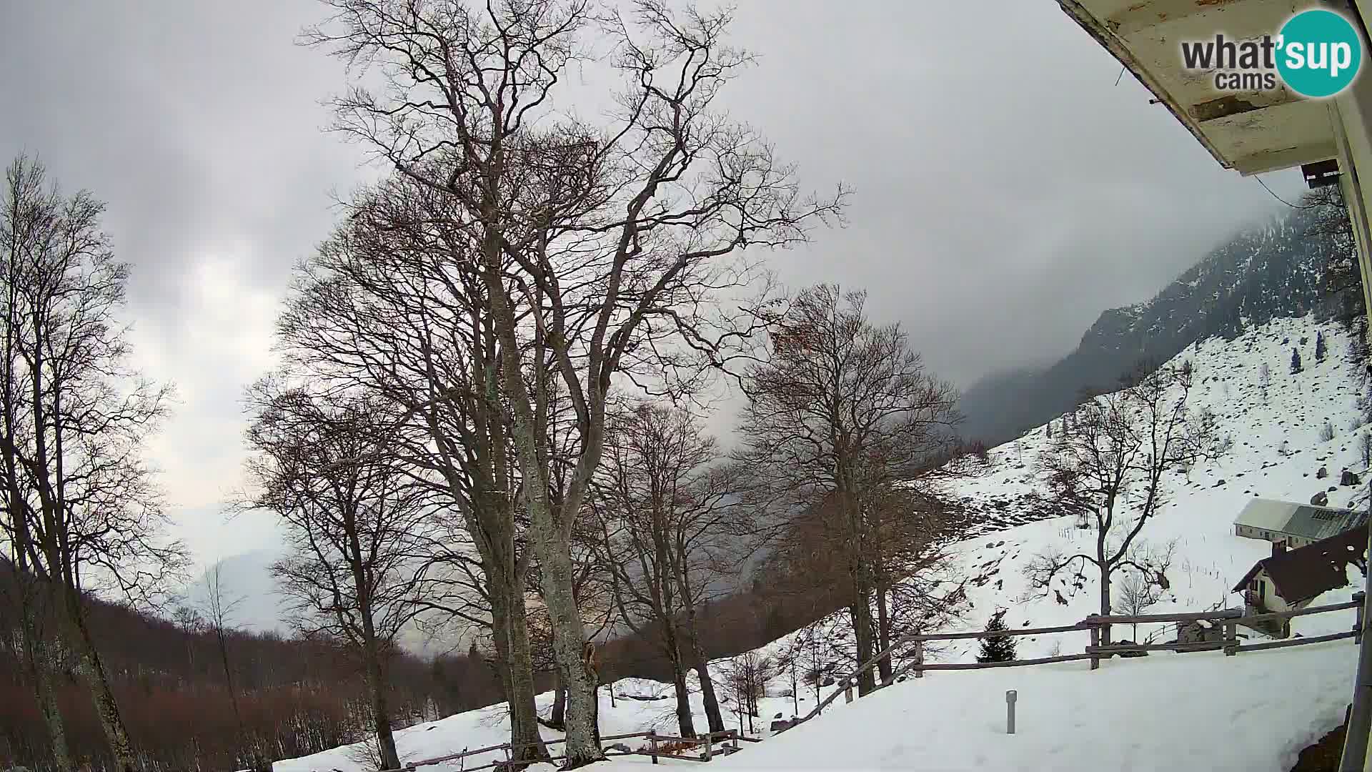 Cámara en vivo de la cabaña de montaña Planina Razor (1315) | vista hacia Tolminski Migovec