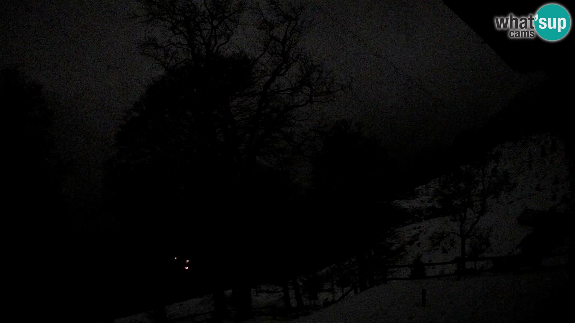 Cámara en vivo de la cabaña de montaña Planina Razor (1315) | vista hacia Tolminski Migovec