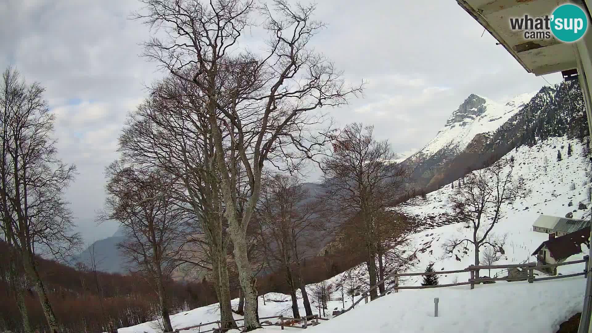 Baita di montagna Planina Razor webcam (1315) | vista su Tolminski Migovec