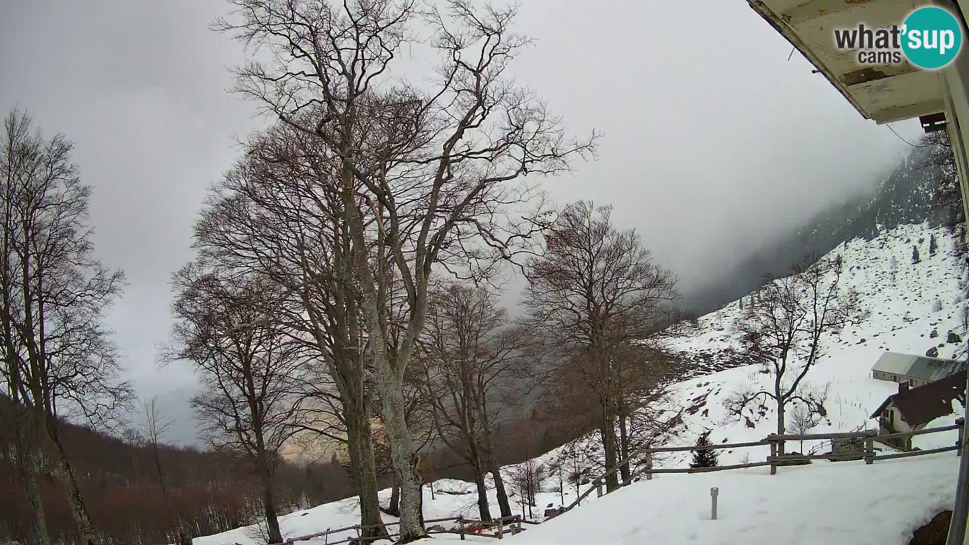Cámara en vivo de la cabaña de montaña Planina Razor (1315) | vista hacia Tolminski Migovec