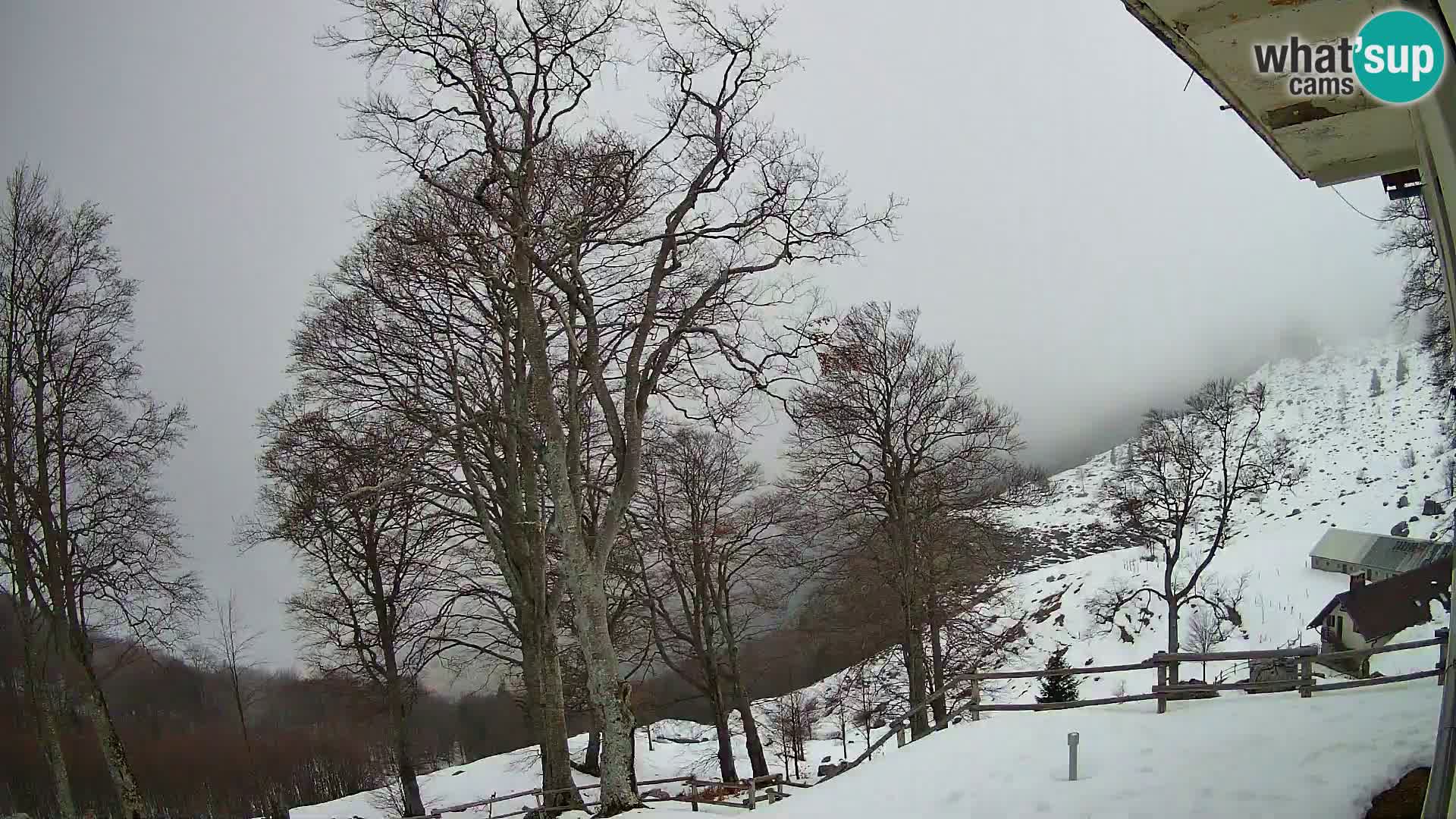 Cámara en vivo de la cabaña de montaña Planina Razor (1315) | vista hacia Tolminski Migovec