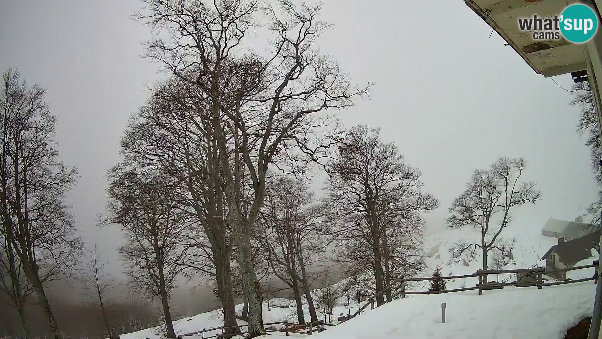 Cámara en vivo de la cabaña de montaña Planina Razor (1315) | vista hacia Tolminski Migovec