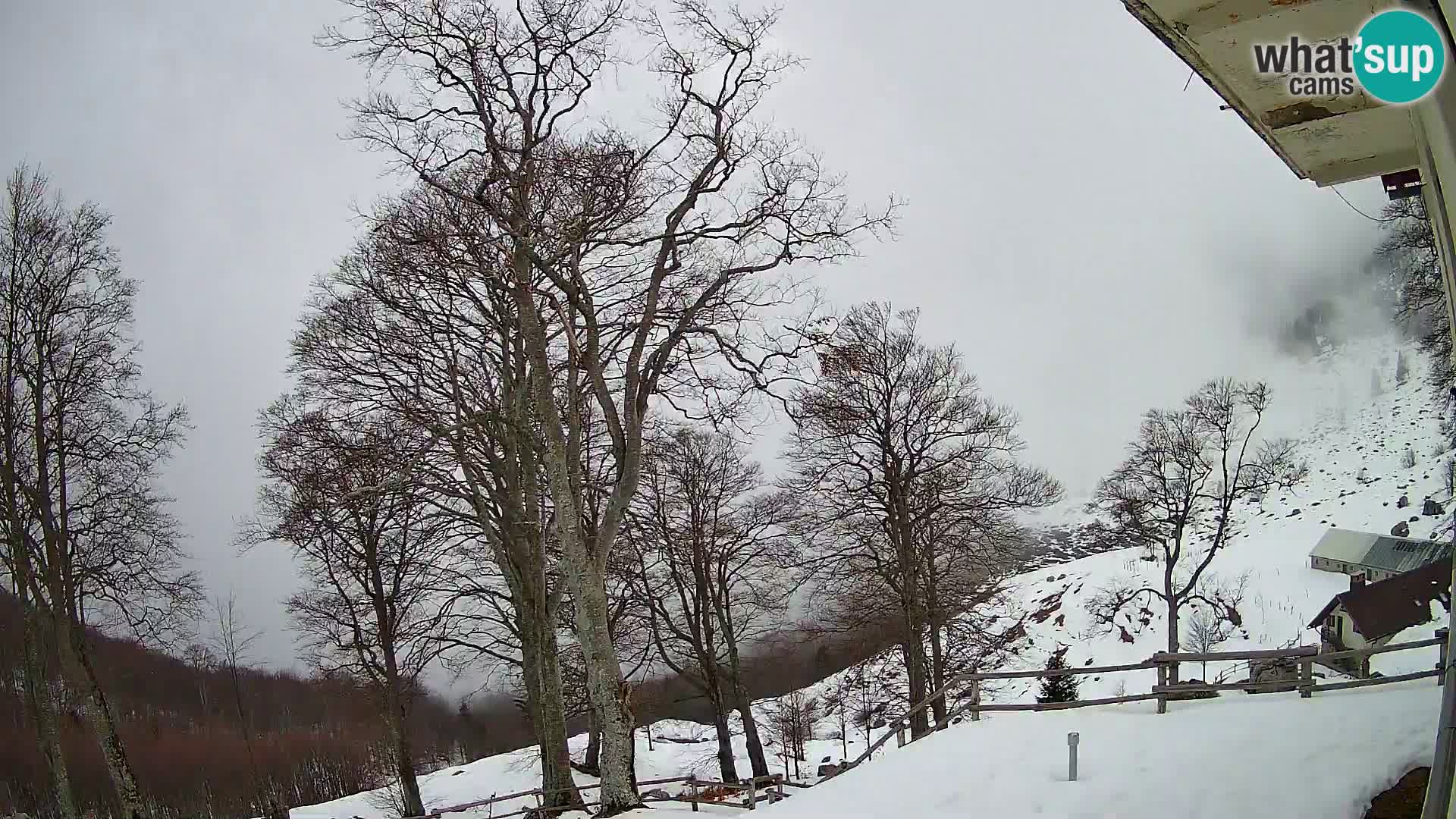 Cámara en vivo de la cabaña de montaña Planina Razor (1315) | vista hacia Tolminski Migovec
