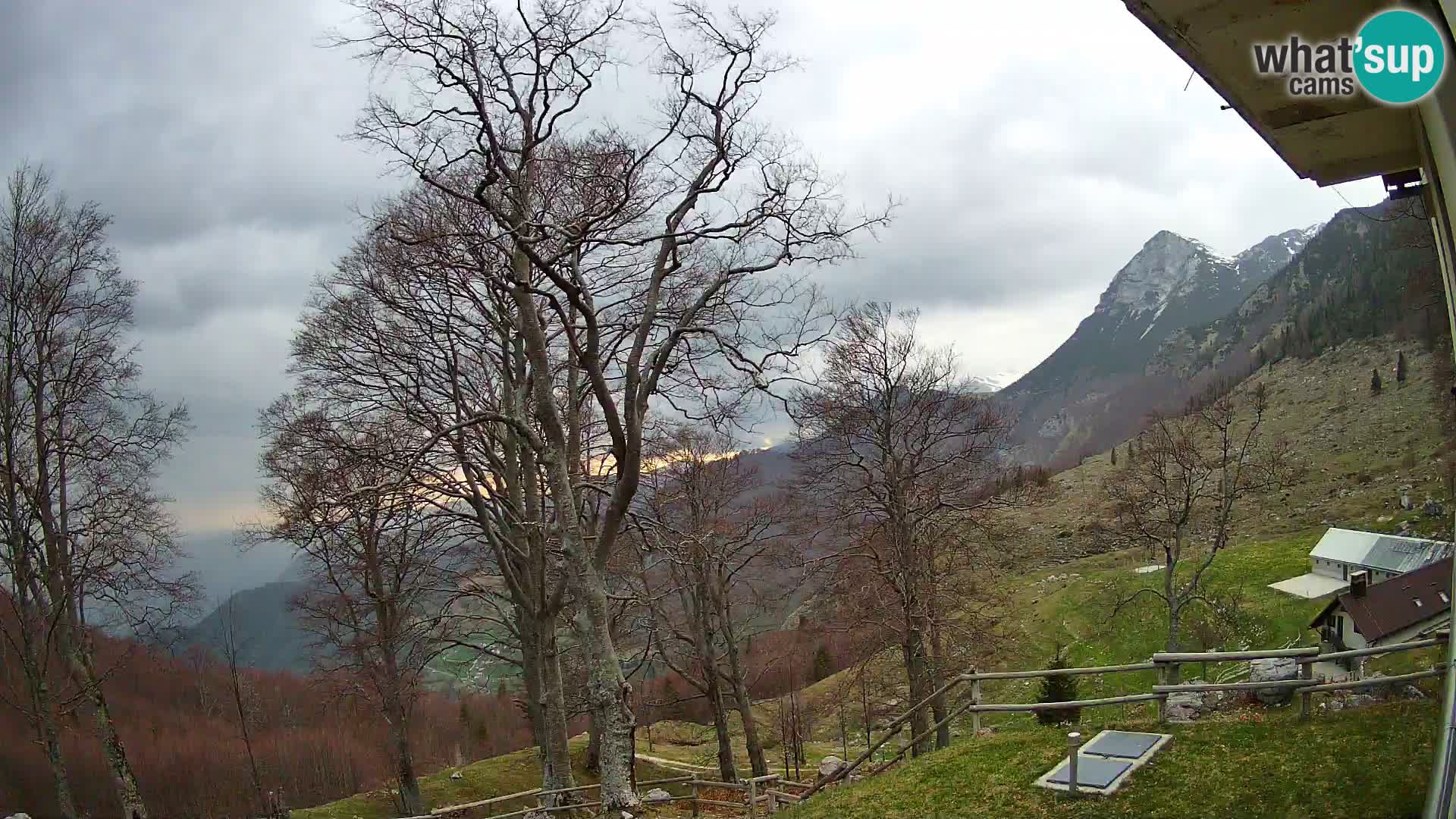 Planina Razor Bergütte Webcam (1315) | Blick auf Tolminski Migovec