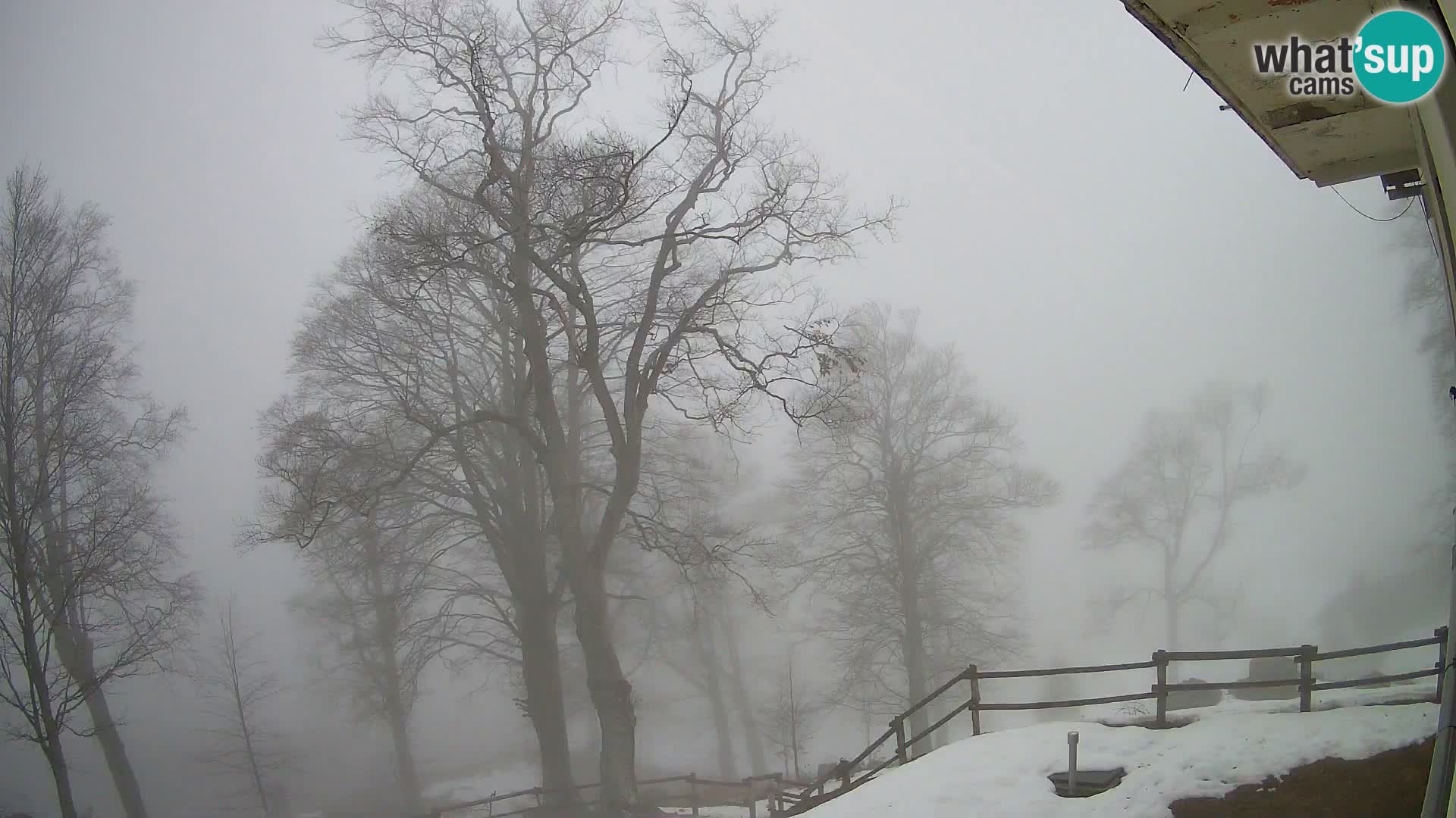 Cámara en vivo de la cabaña de montaña Planina Razor (1315) | vista hacia Tolminski Migovec