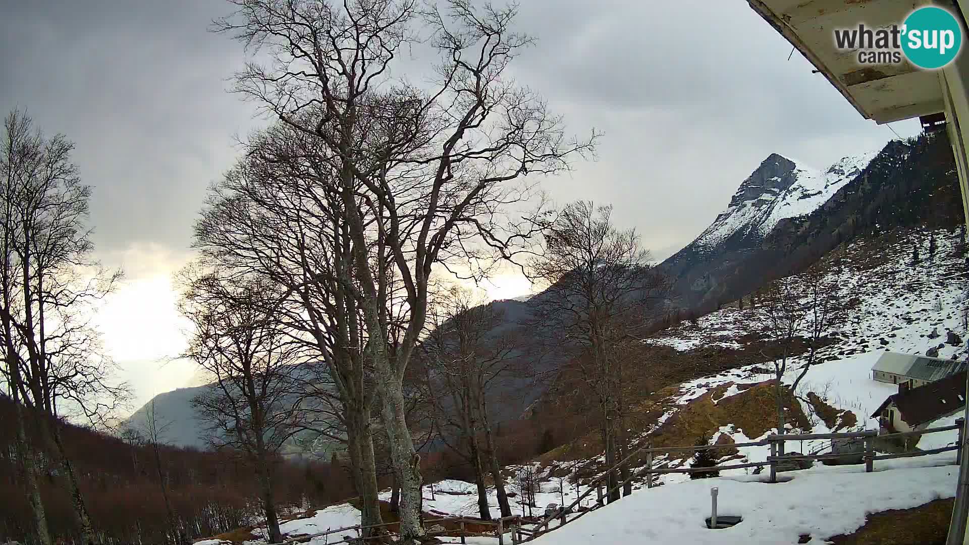 Baita di montagna Planina Razor webcam (1315) | vista su Tolminski Migovec