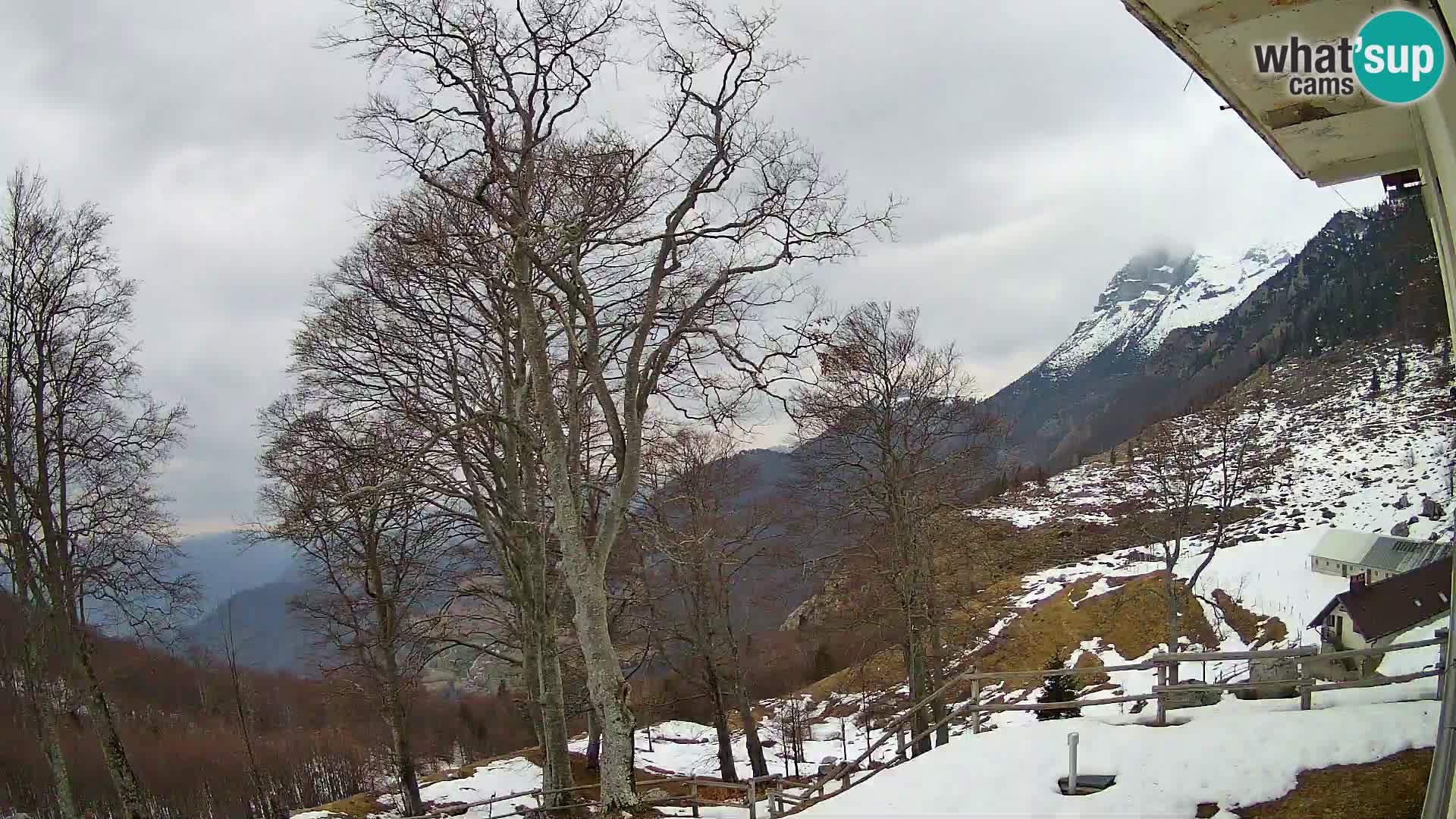 Planina Razor Bergütte Webcam (1315) | Blick auf Tolminski Migovec