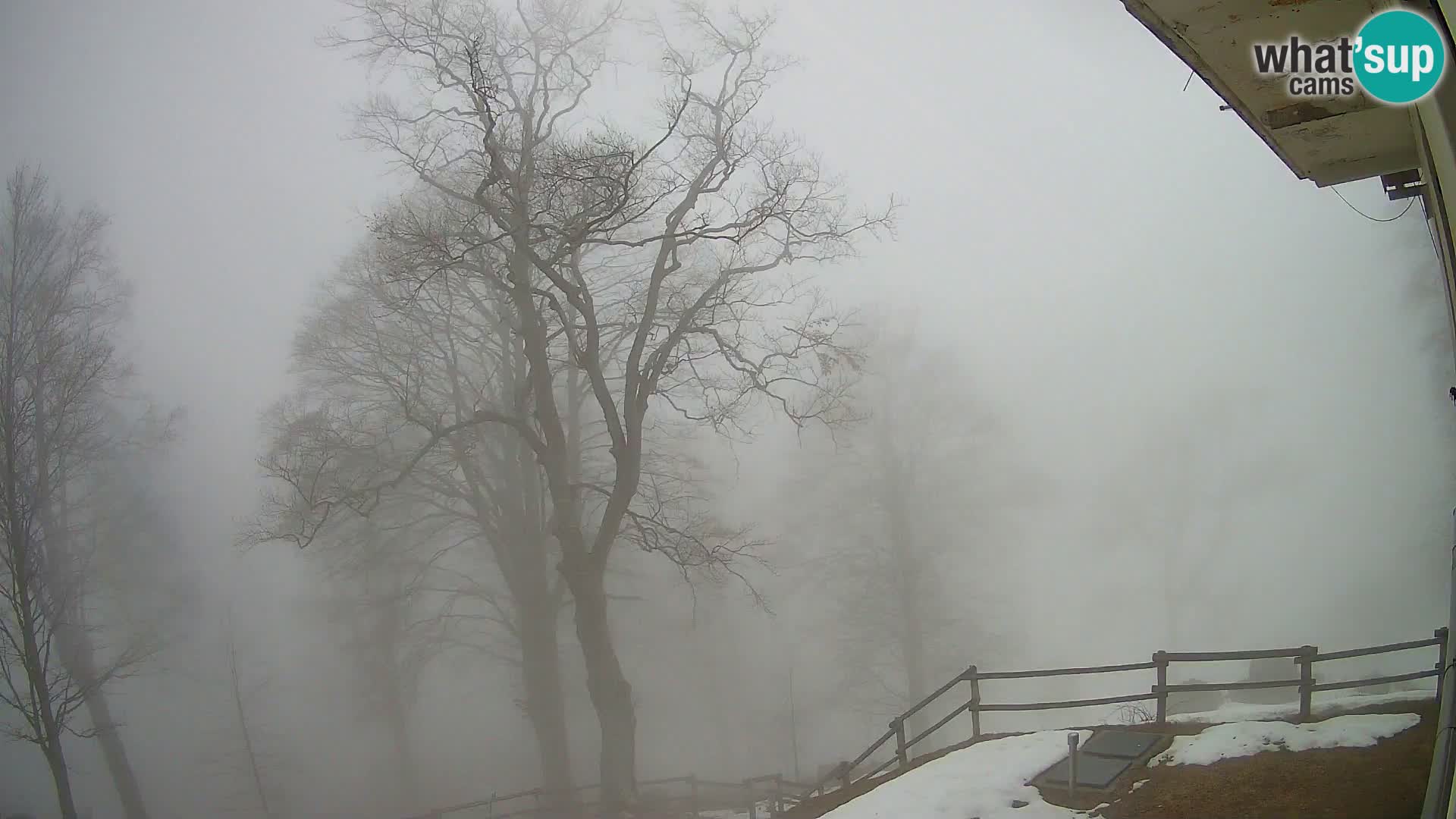 Planinarski dom na planini Razor (1315) | Pogled na Tolminski Migovec