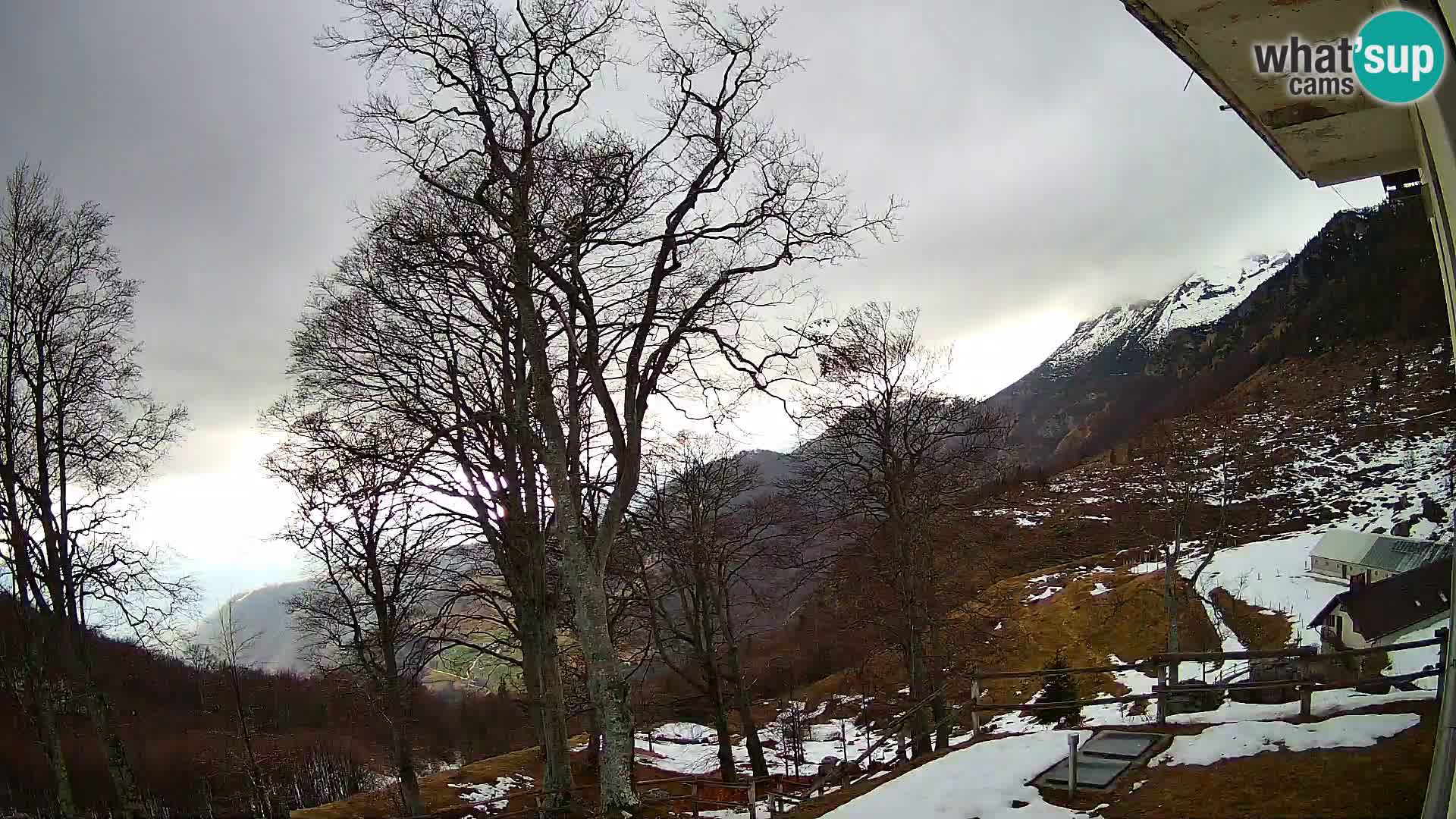 Baita di montagna Planina Razor webcam (1315) | vista su Tolminski Migovec