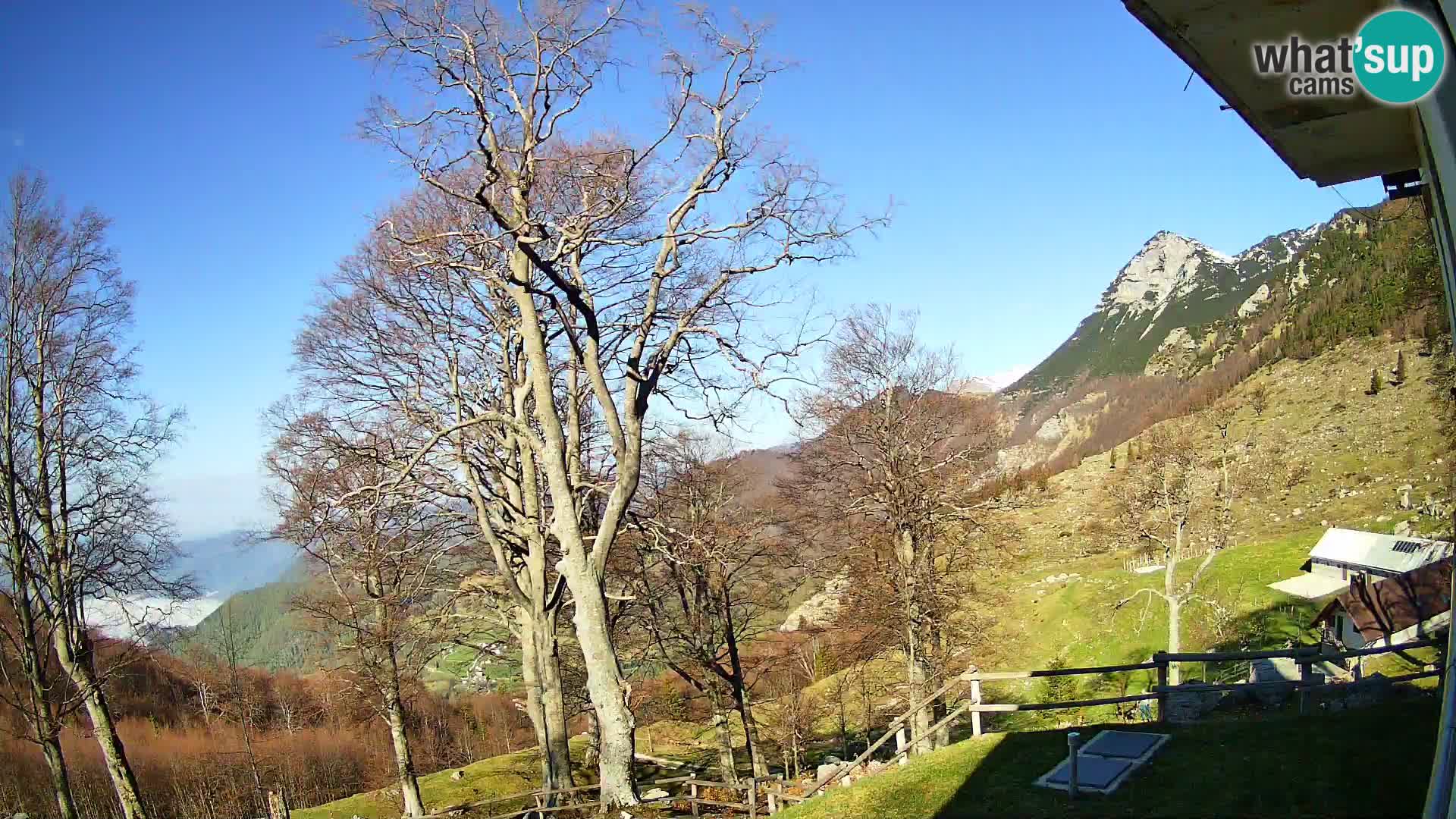Cámara en vivo de la cabaña de montaña Planina Razor (1315) | vista hacia Tolminski Migovec