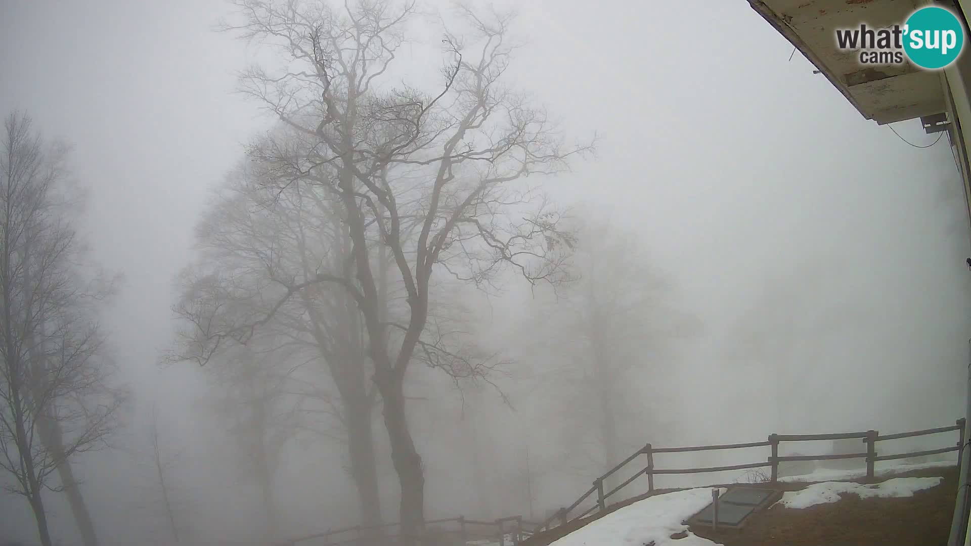 Planina Razor Bergütte Webcam (1315) | Blick auf Tolminski Migovec