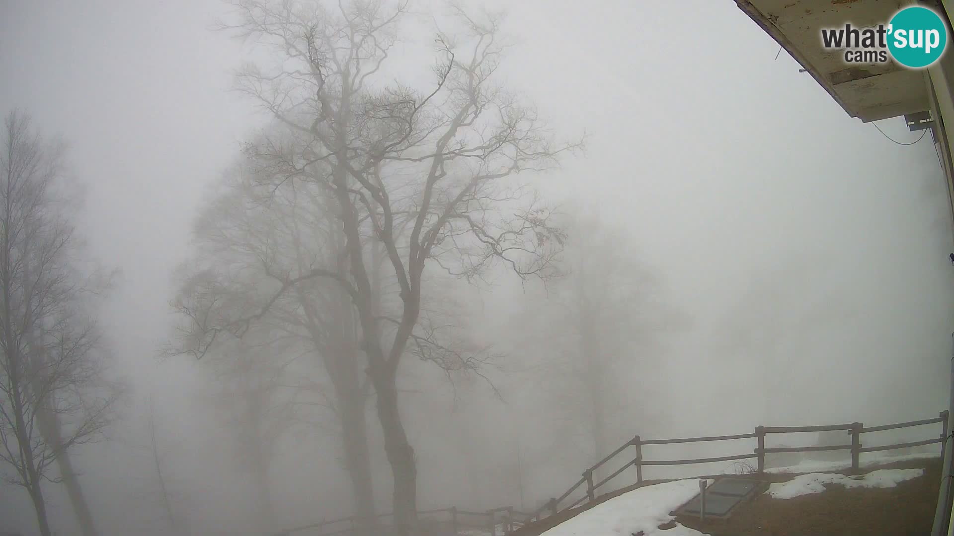 Baita di montagna Planina Razor webcam (1315) | vista su Tolminski Migovec