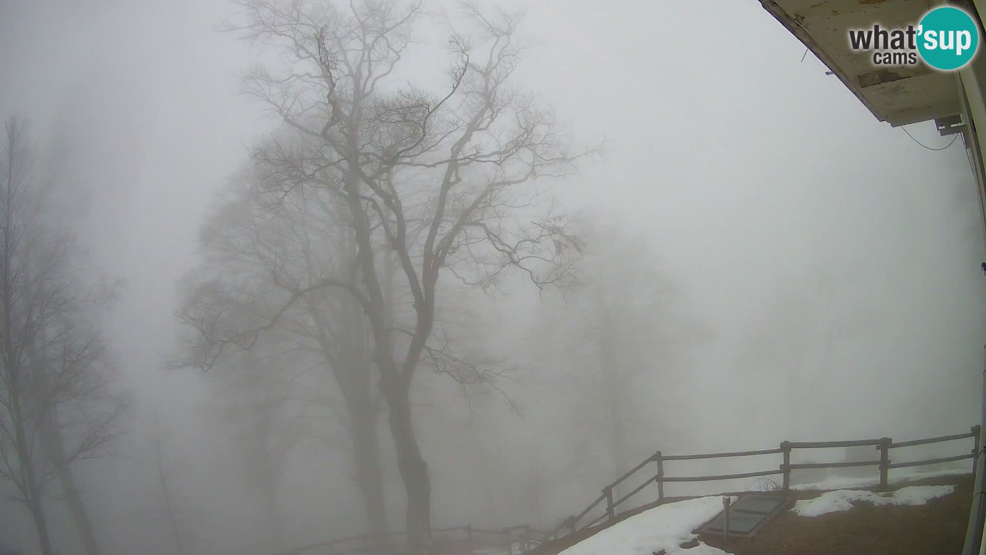 Refuge de la montagne Planina Razor caméra en direct (1315) | vue sur Tolminski Migovec