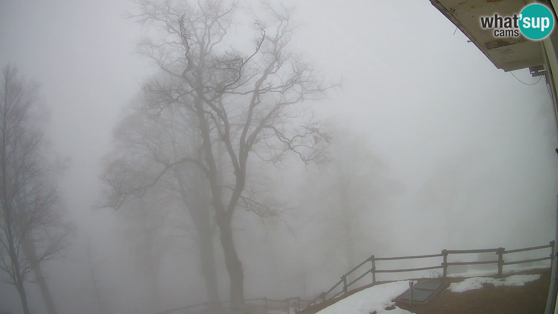 Cámara en vivo de la cabaña de montaña Planina Razor (1315) | vista hacia Tolminski Migovec