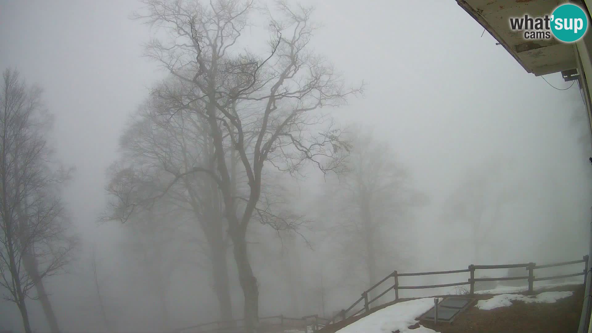 Koča na Planini Razor spletna kamera (1315) | Pogled na Tolminski Migovec