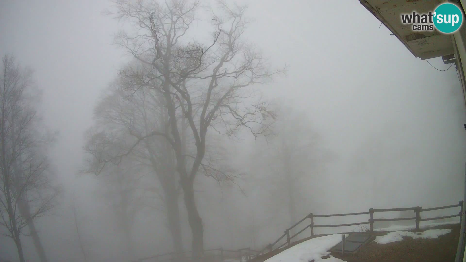 Planina Razor Mountain Hut live cam (1315) | view to Tolminski Migovec