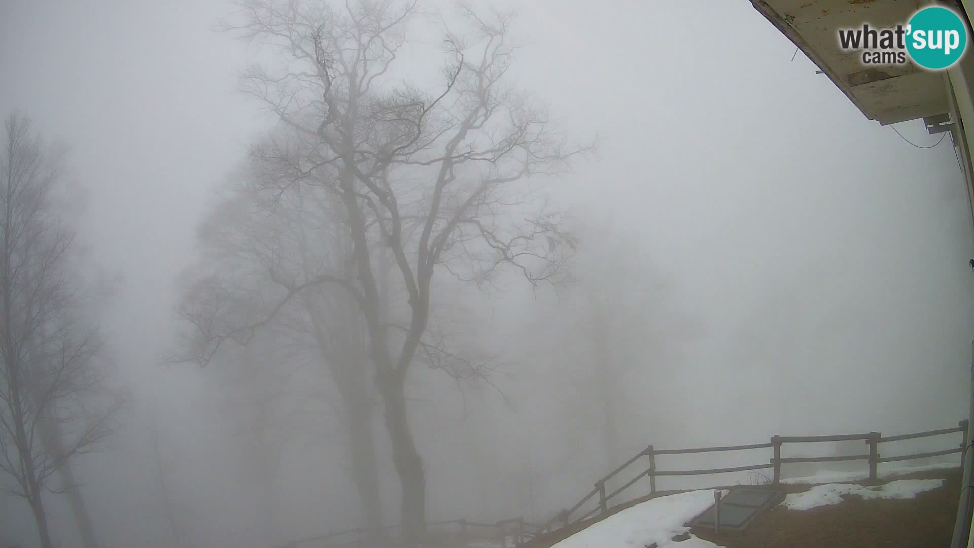 Planina Razor Mountain Hut live cam (1315) | view to Tolminski Migovec