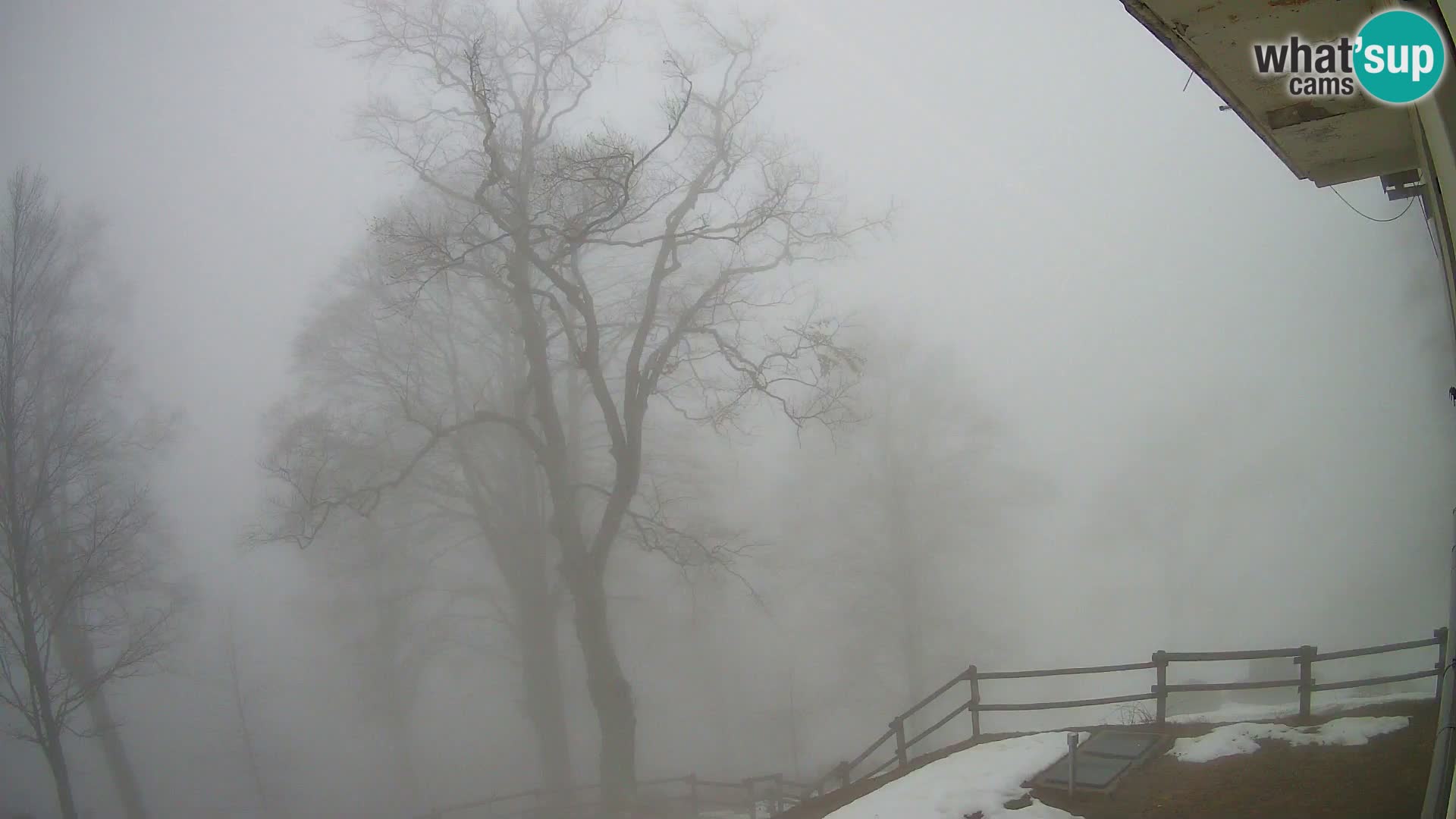 Planina Razor Bergütte Webcam (1315) | Blick auf Tolminski Migovec