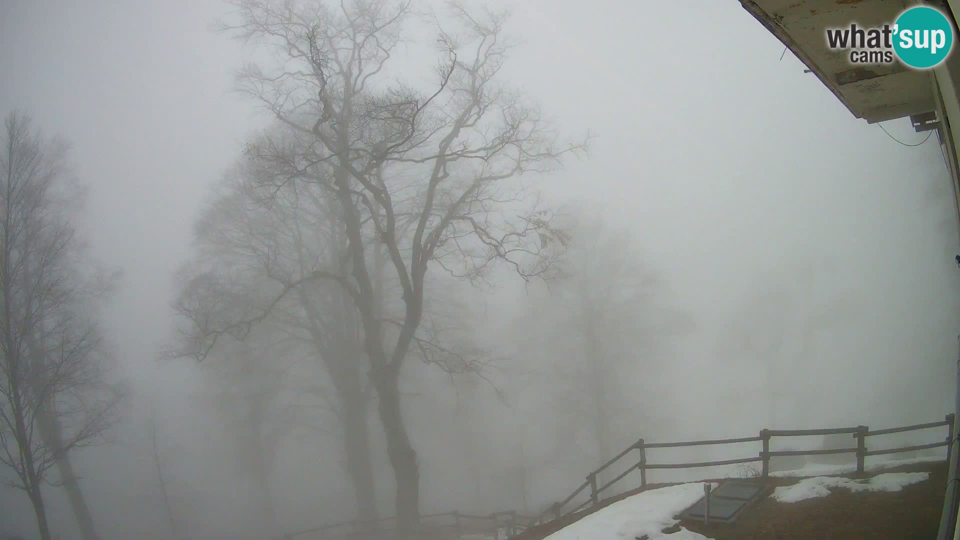 Cámara en vivo de la cabaña de montaña Planina Razor (1315) | vista hacia Tolminski Migovec