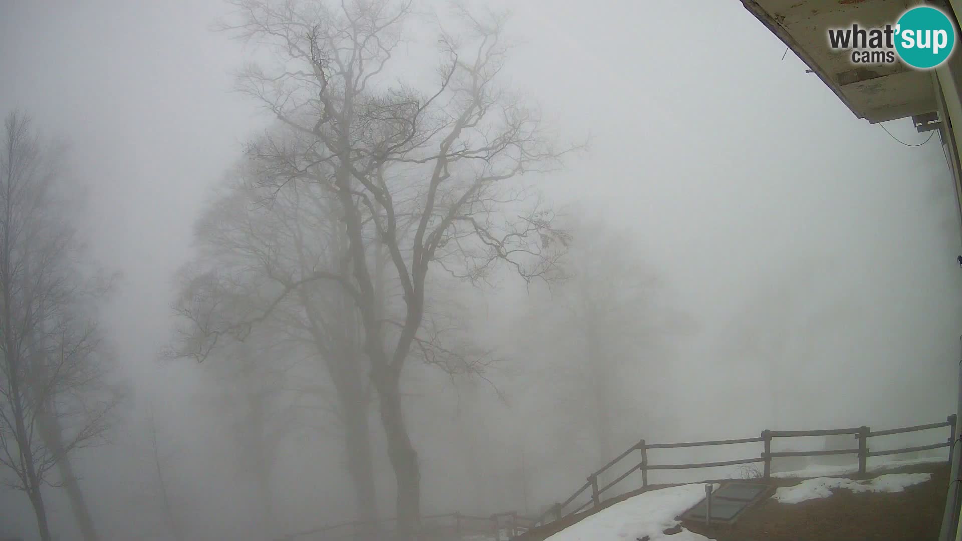 Cámara en vivo de la cabaña de montaña Planina Razor (1315) | vista hacia Tolminski Migovec