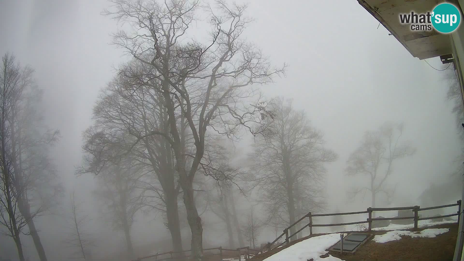 Planina Razor Bergütte Webcam (1315) | Blick auf Tolminski Migovec
