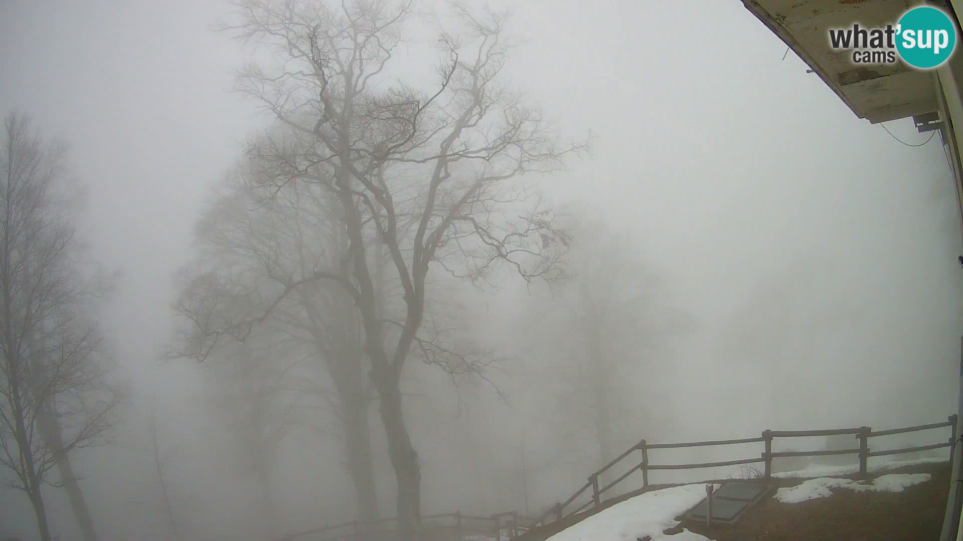 Planina Razor Bergütte Webcam (1315) | Blick auf Tolminski Migovec