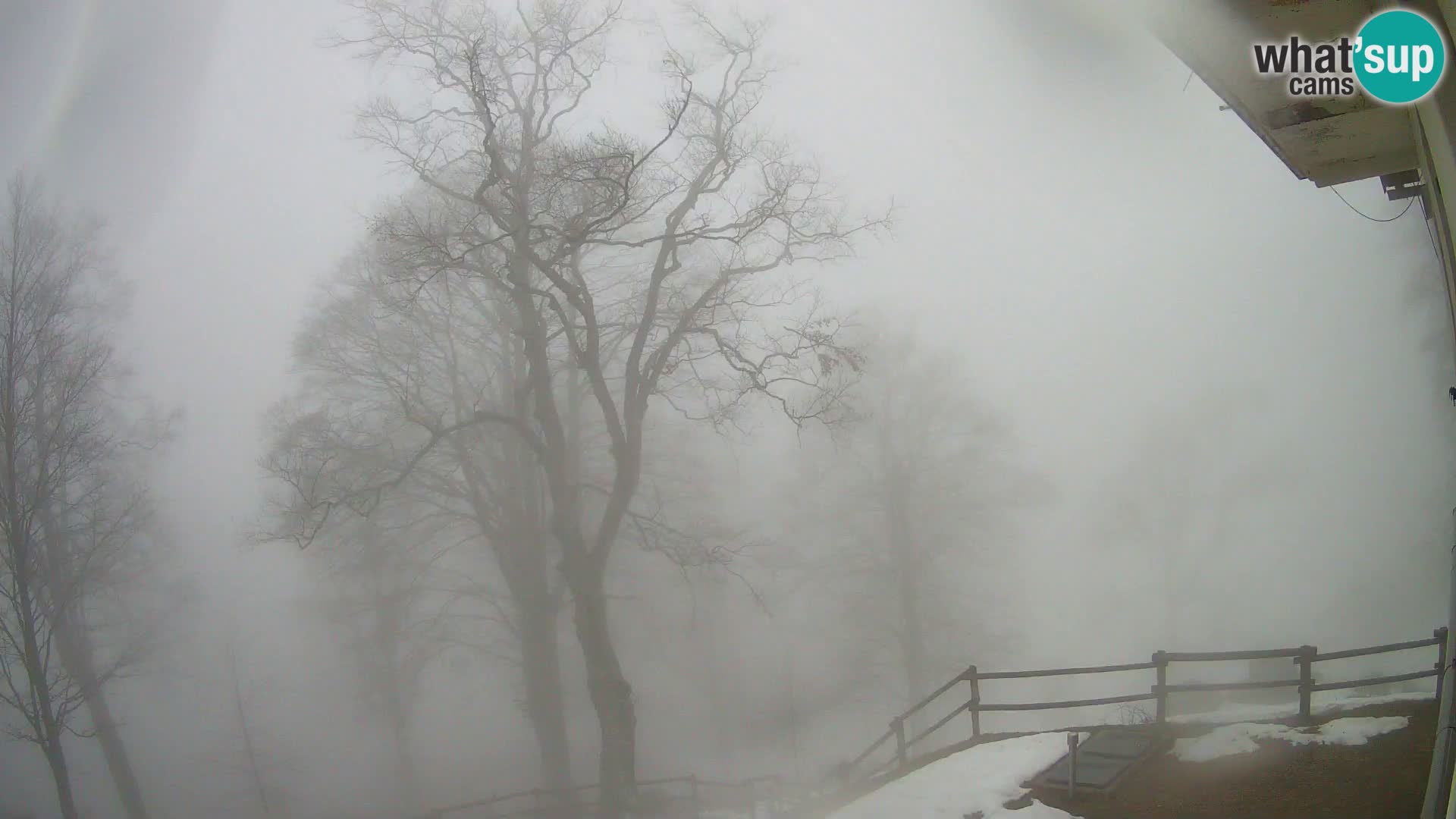 Planina Razor Bergütte Webcam (1315) | Blick auf Tolminski Migovec