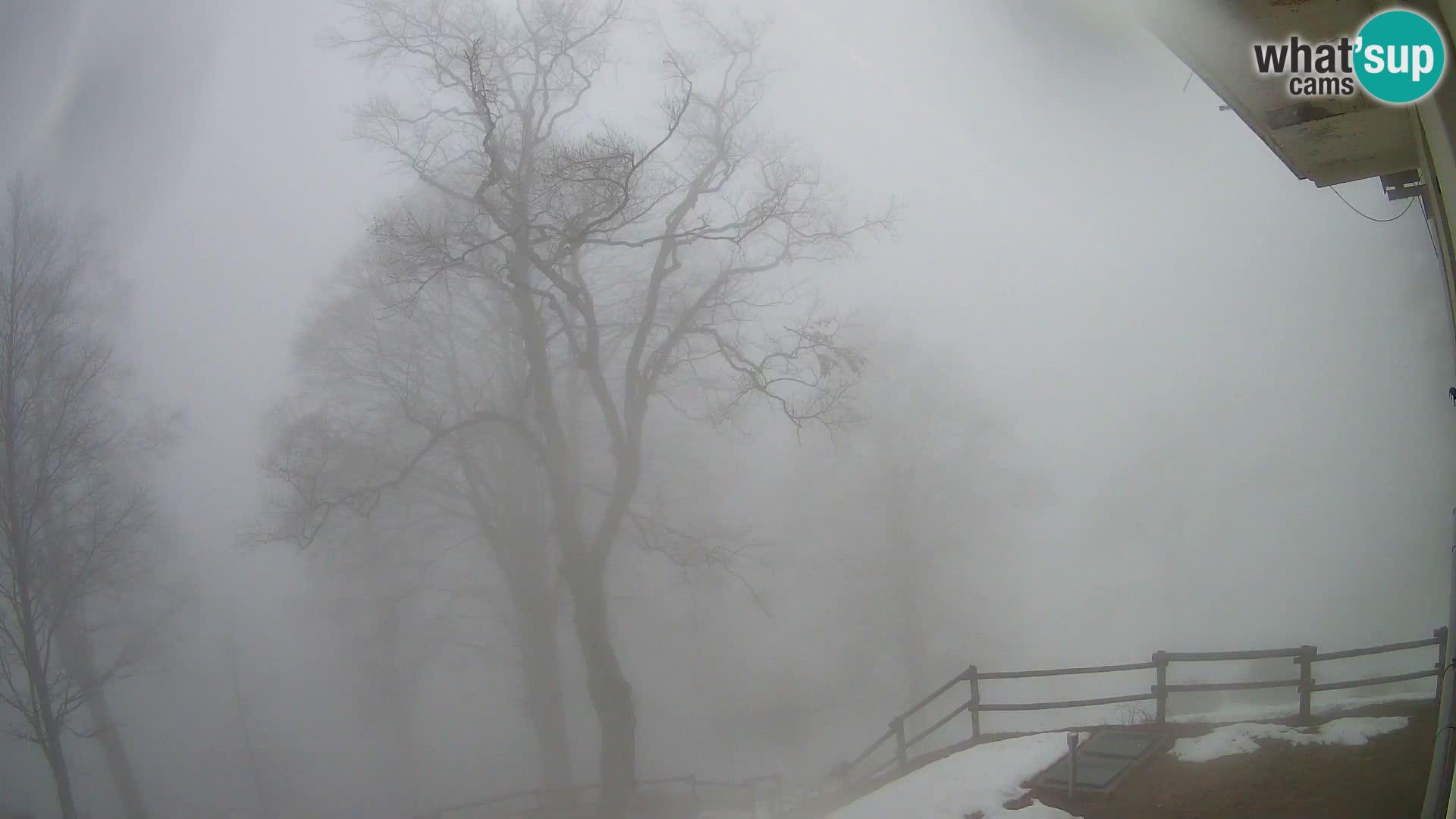 Planina Razor Bergütte Webcam (1315) | Blick auf Tolminski Migovec