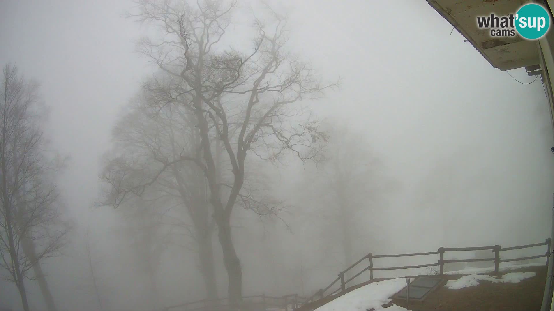 Planina Razor Bergütte Webcam (1315) | Blick auf Tolminski Migovec