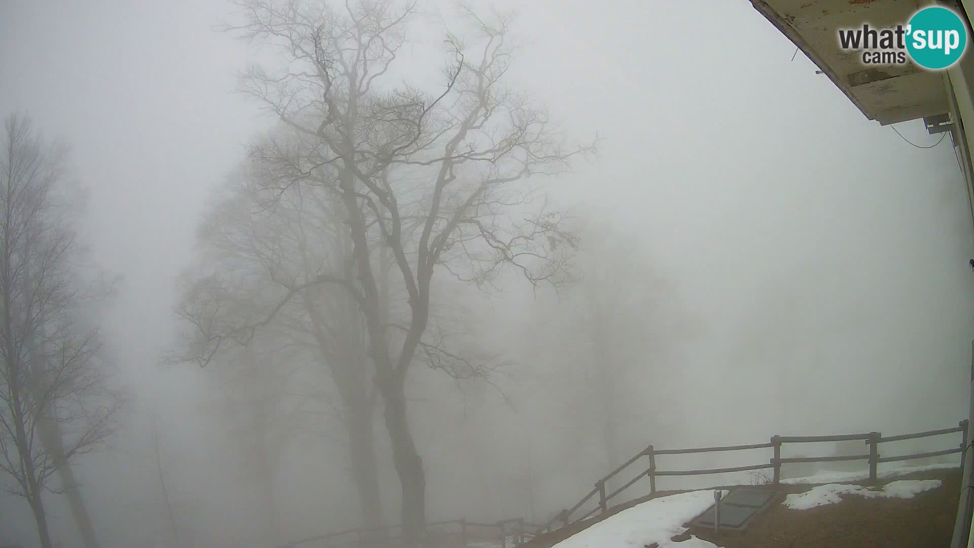 Planina Razor Bergütte Webcam (1315) | Blick auf Tolminski Migovec