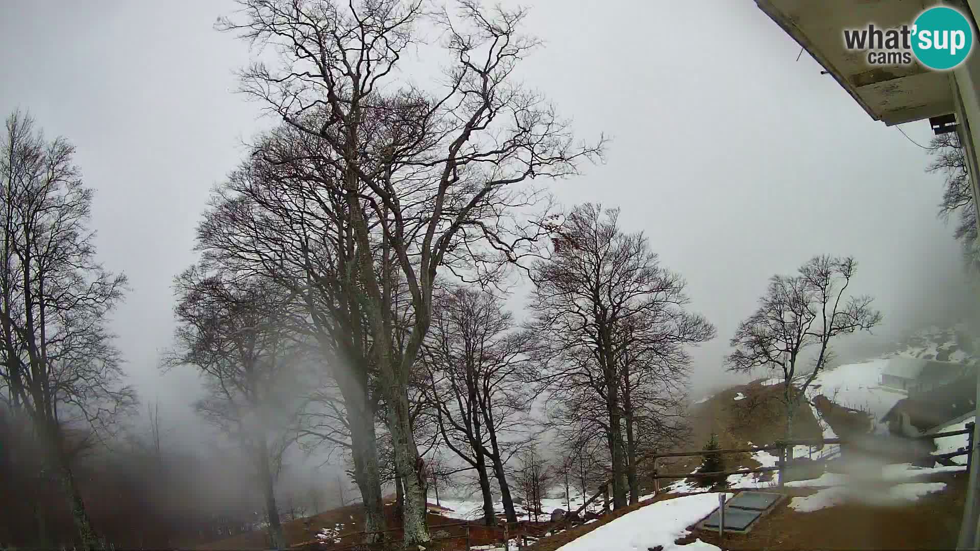 Refuge de la montagne Planina Razor caméra en direct (1315) | vue sur Tolminski Migovec