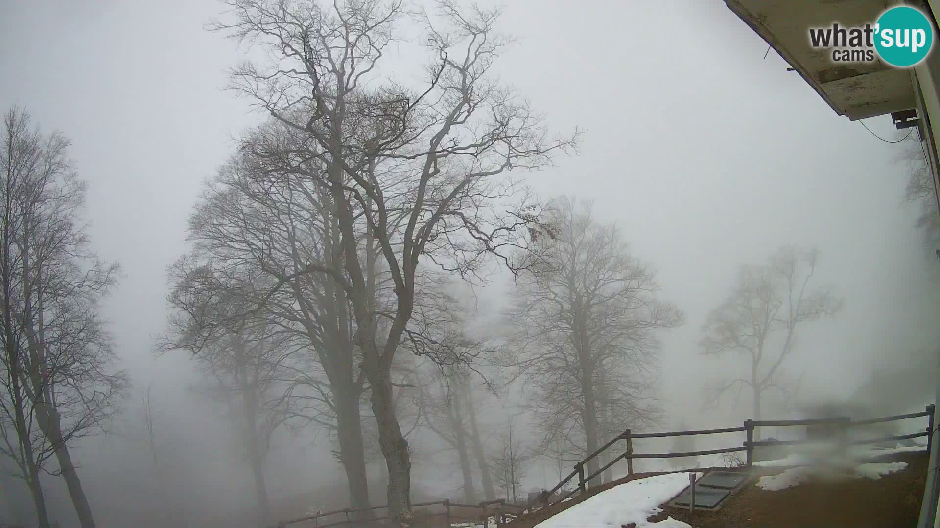 Cámara en vivo de la cabaña de montaña Planina Razor (1315) | vista hacia Tolminski Migovec