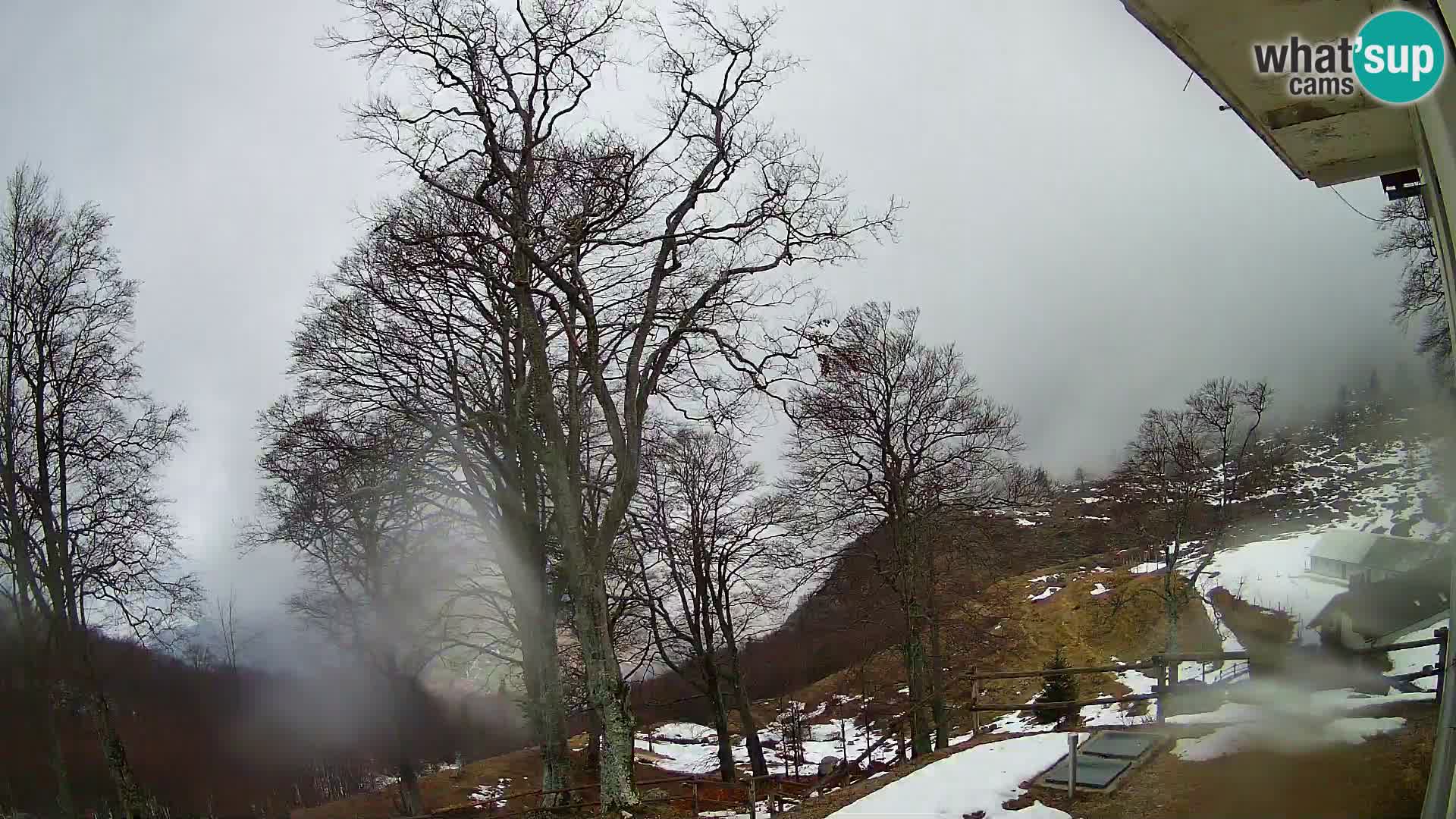 Planina Razor Bergütte Webcam (1315) | Blick auf Tolminski Migovec