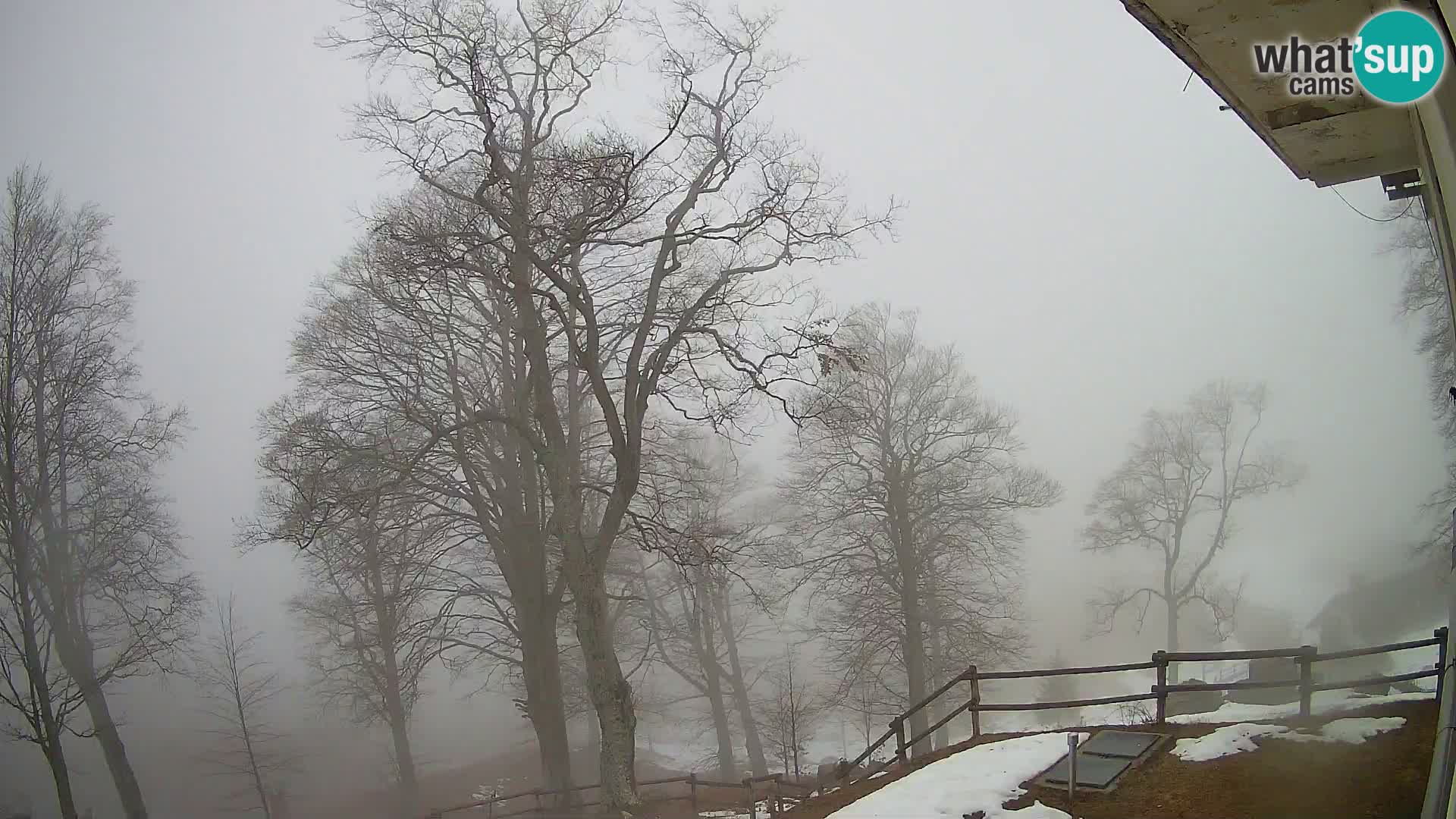 Planina Razor Mountain Hut live cam (1315) | view to Tolminski Migovec