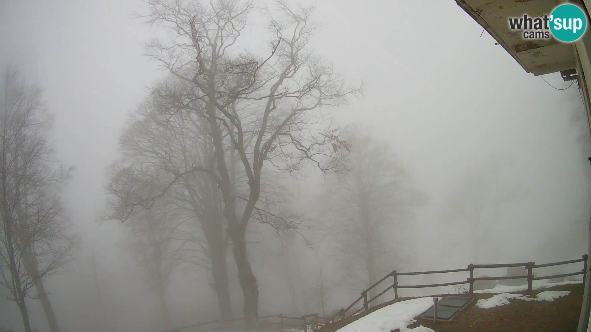 Planina Razor Bergütte Webcam (1315) | Blick auf Tolminski Migovec