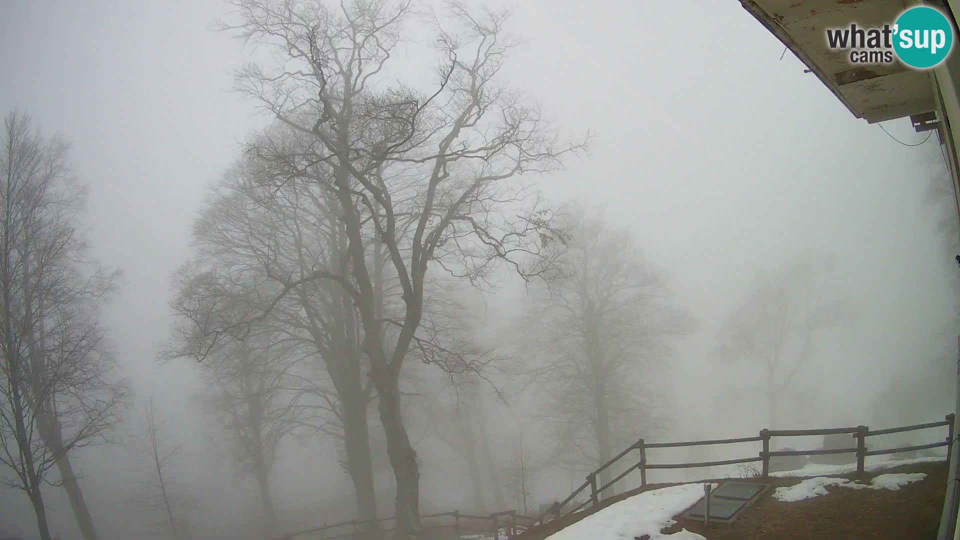 Refuge de la montagne Planina Razor caméra en direct (1315) | vue sur Tolminski Migovec