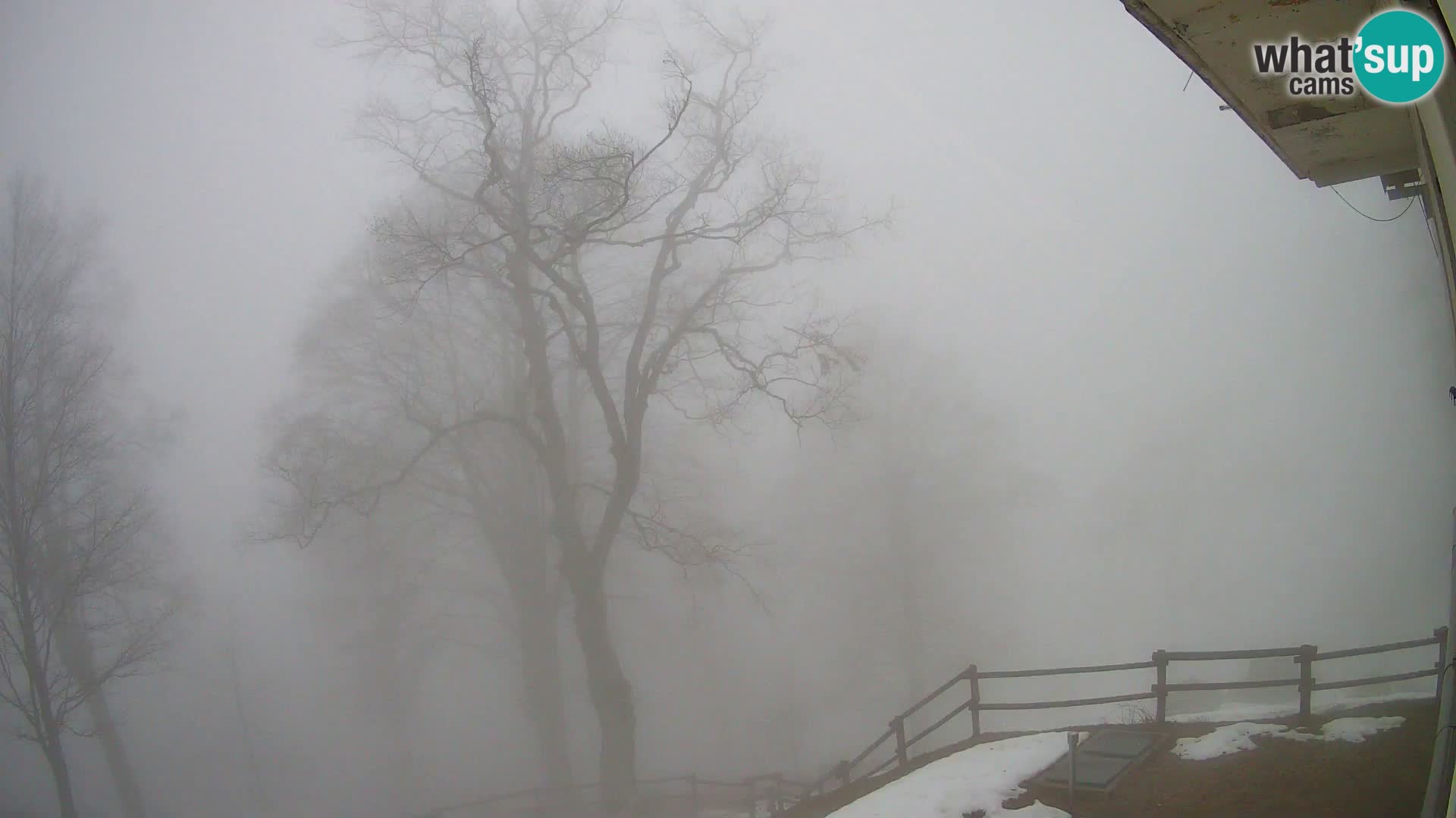 Planina Razor Bergütte Webcam (1315) | Blick auf Tolminski Migovec