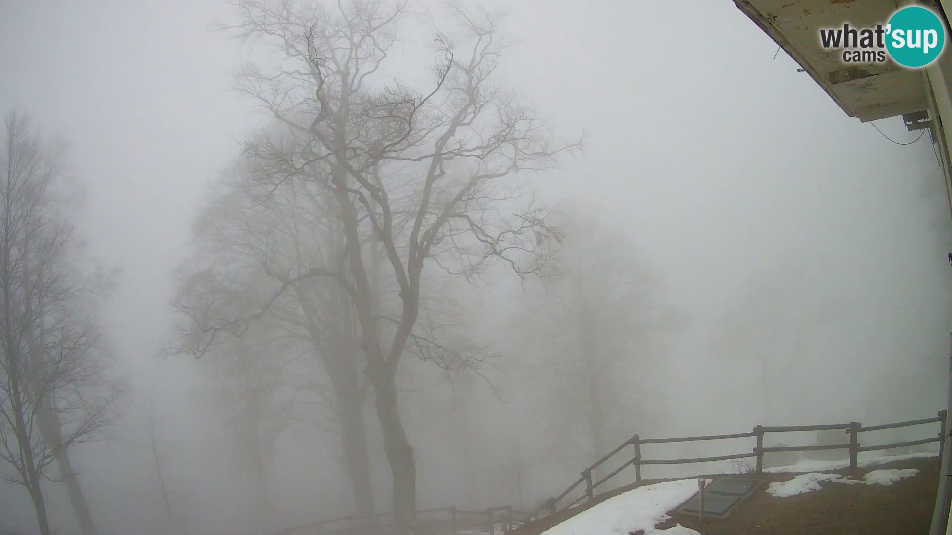 Baita di montagna Planina Razor webcam (1315) | vista su Tolminski Migovec