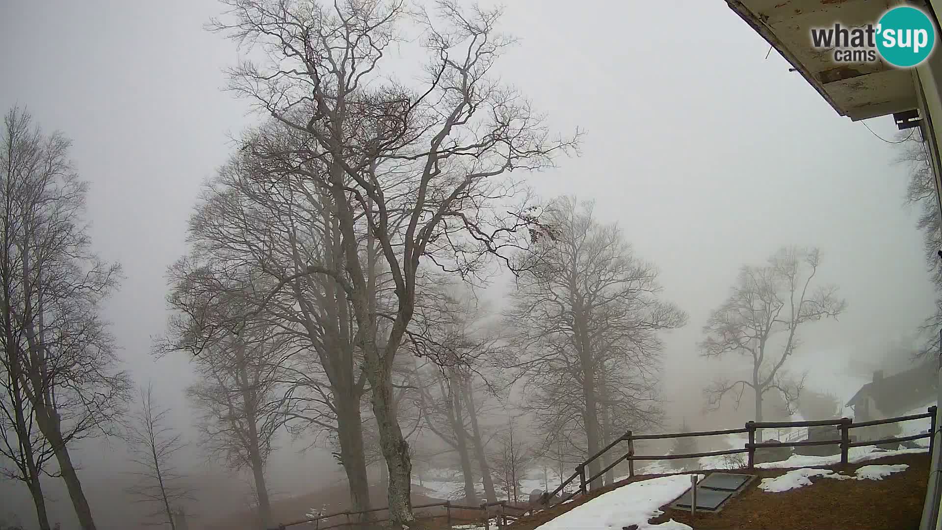 Koča na Planini Razor spletna kamera (1315) | Pogled na Tolminski Migovec