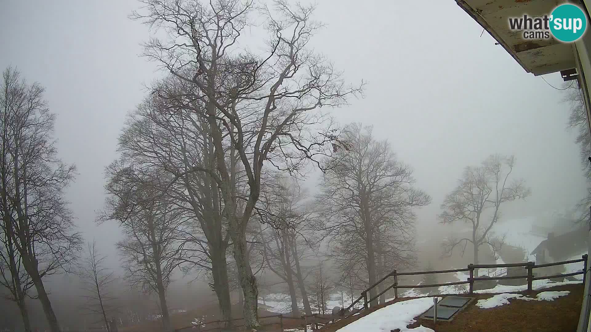 Koča na Planini Razor spletna kamera (1315) | Pogled na Tolminski Migovec