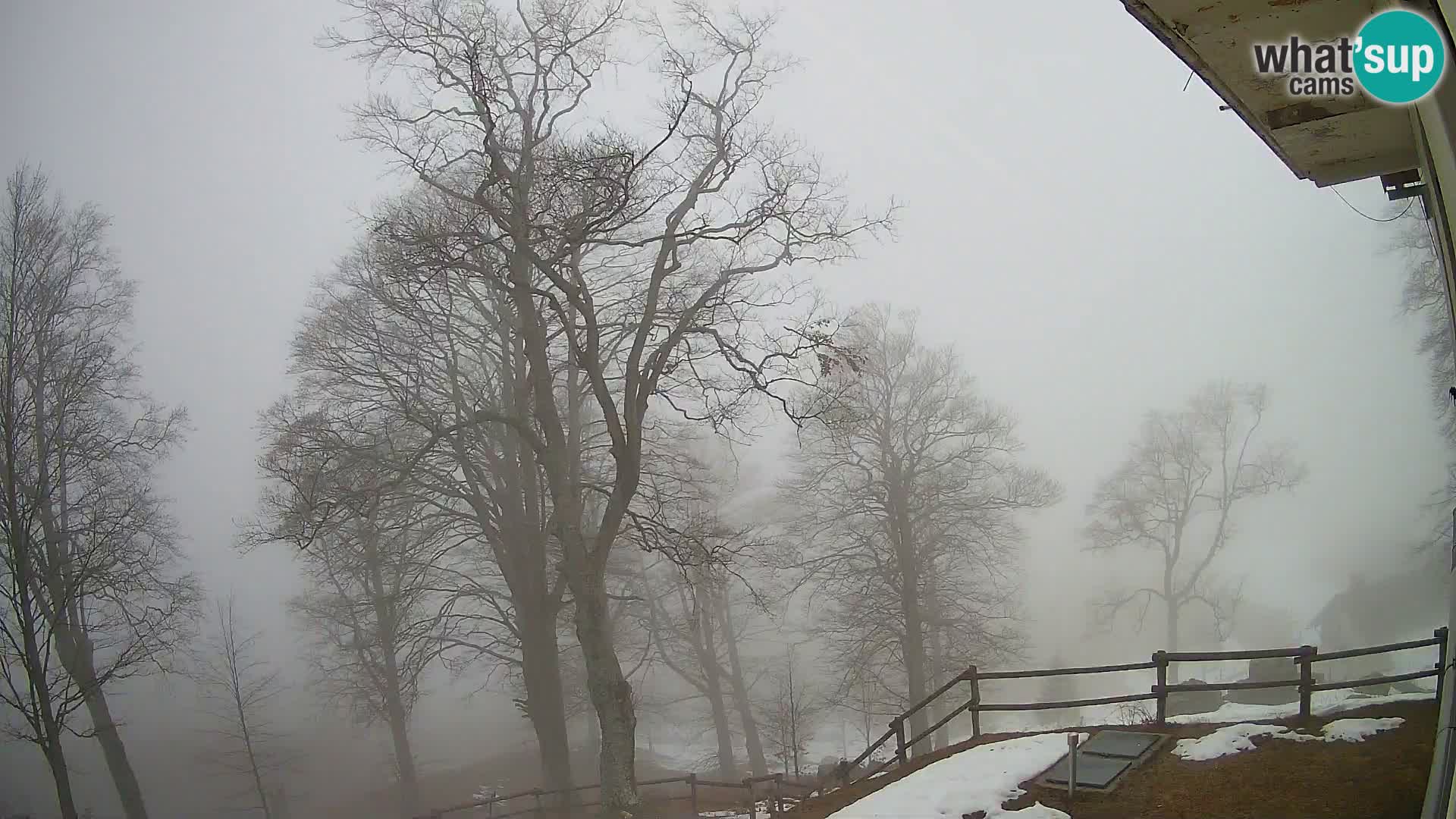 Planina Razor Bergütte Webcam (1315) | Blick auf Tolminski Migovec