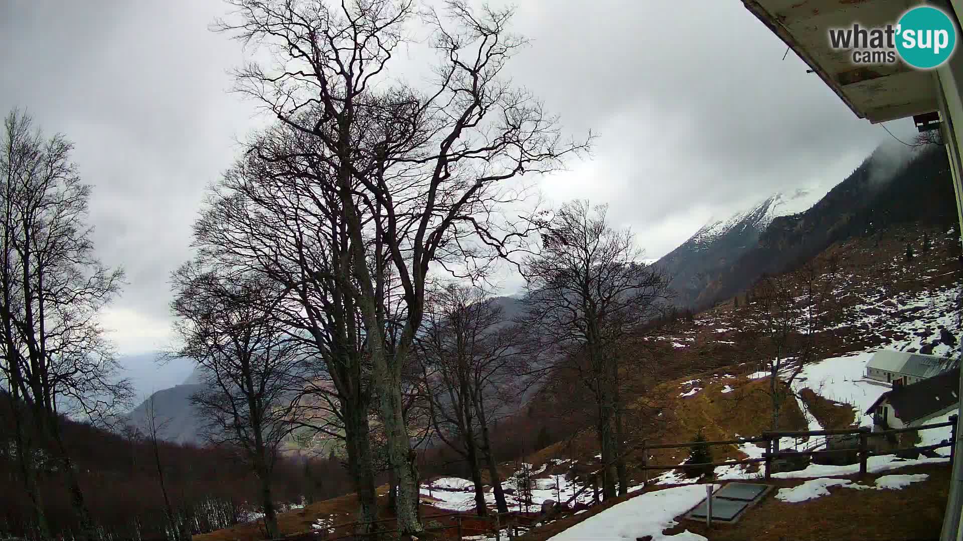 Planina Razor Bergütte Webcam (1315) | Blick auf Tolminski Migovec