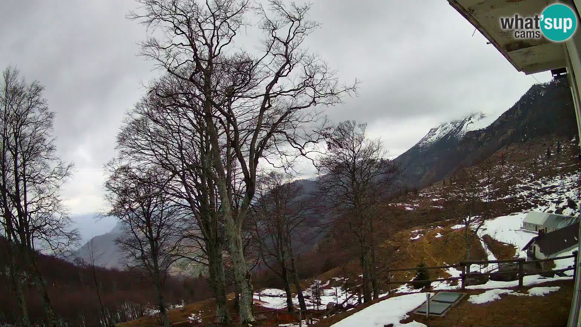 Baita di montagna Planina Razor webcam (1315) | vista su Tolminski Migovec