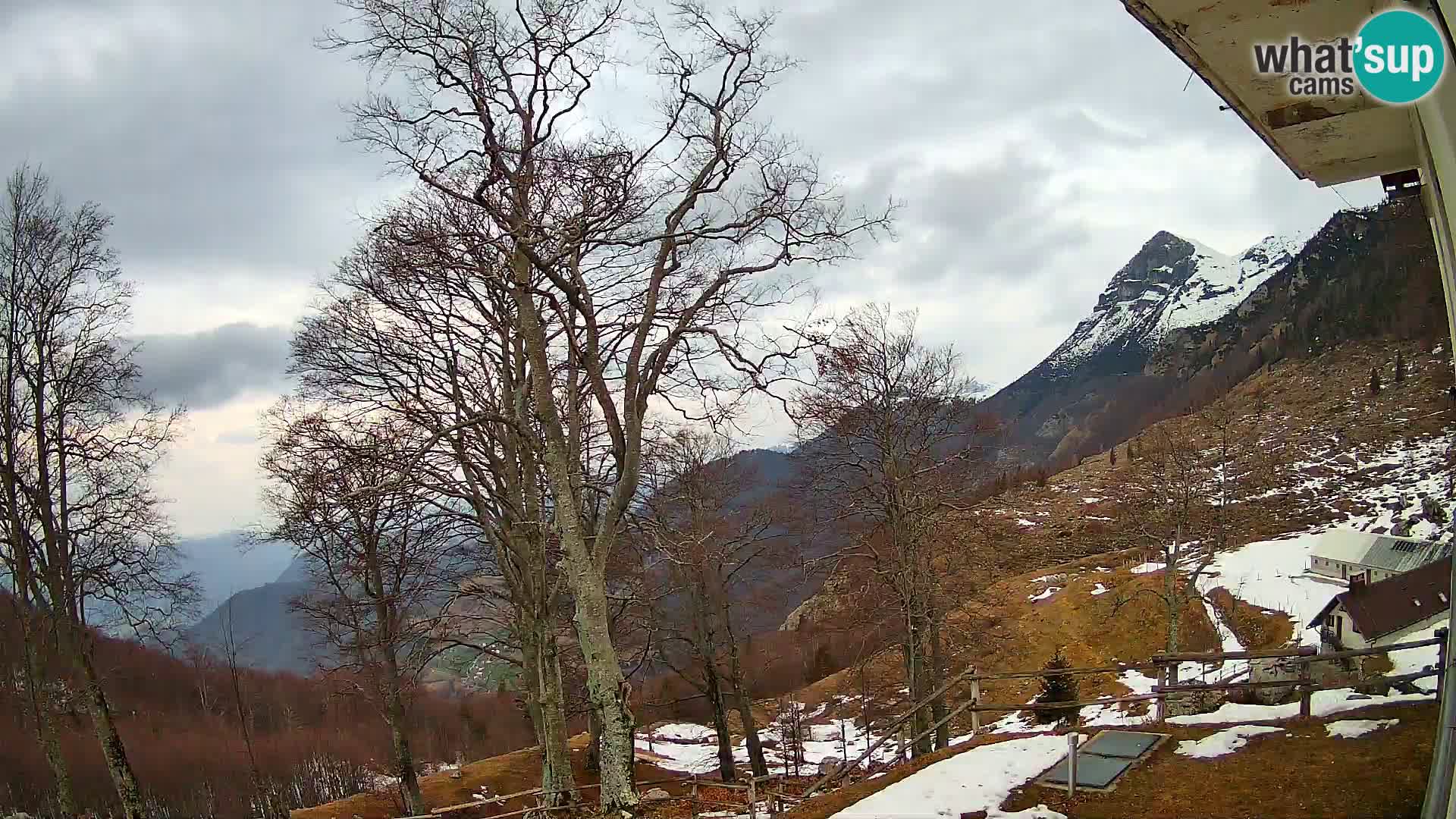 Planina Razor Mountain Hut live cam (1315) | view to Tolminski Migovec