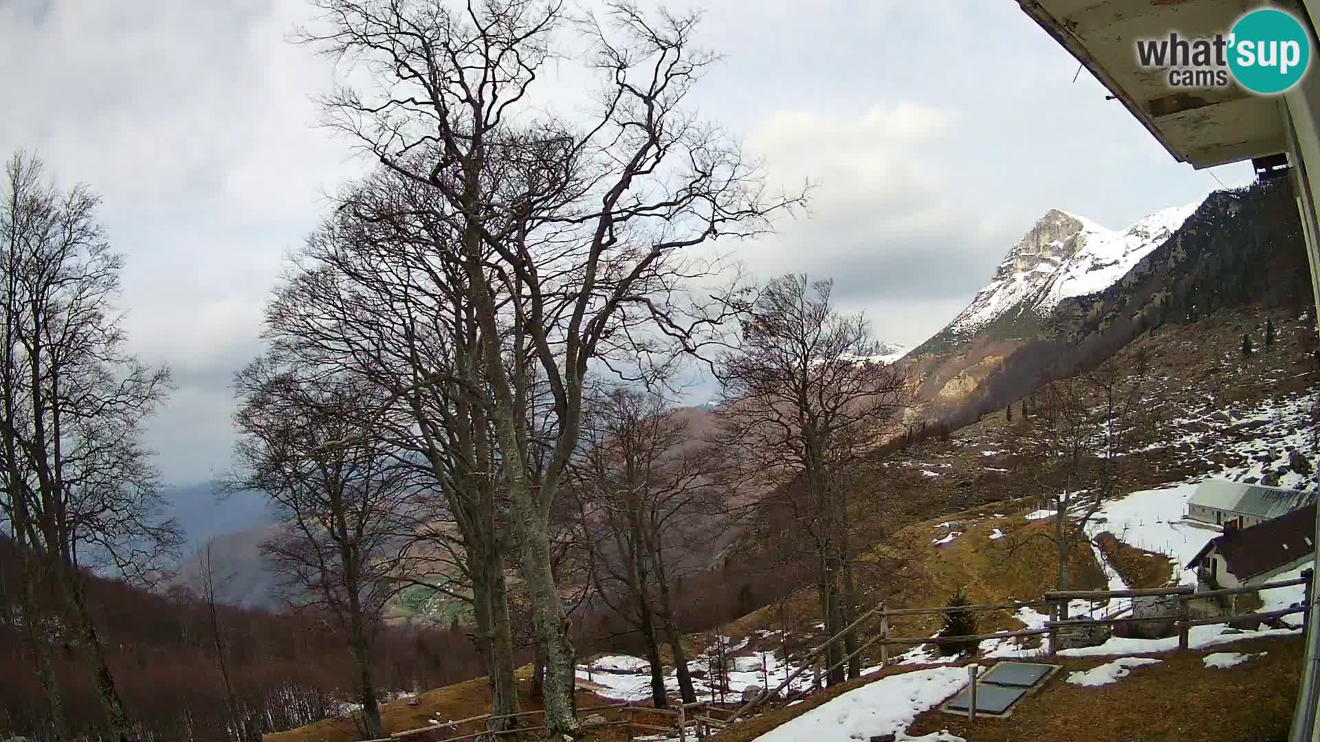 Baita di montagna Planina Razor webcam (1315) | vista su Tolminski Migovec