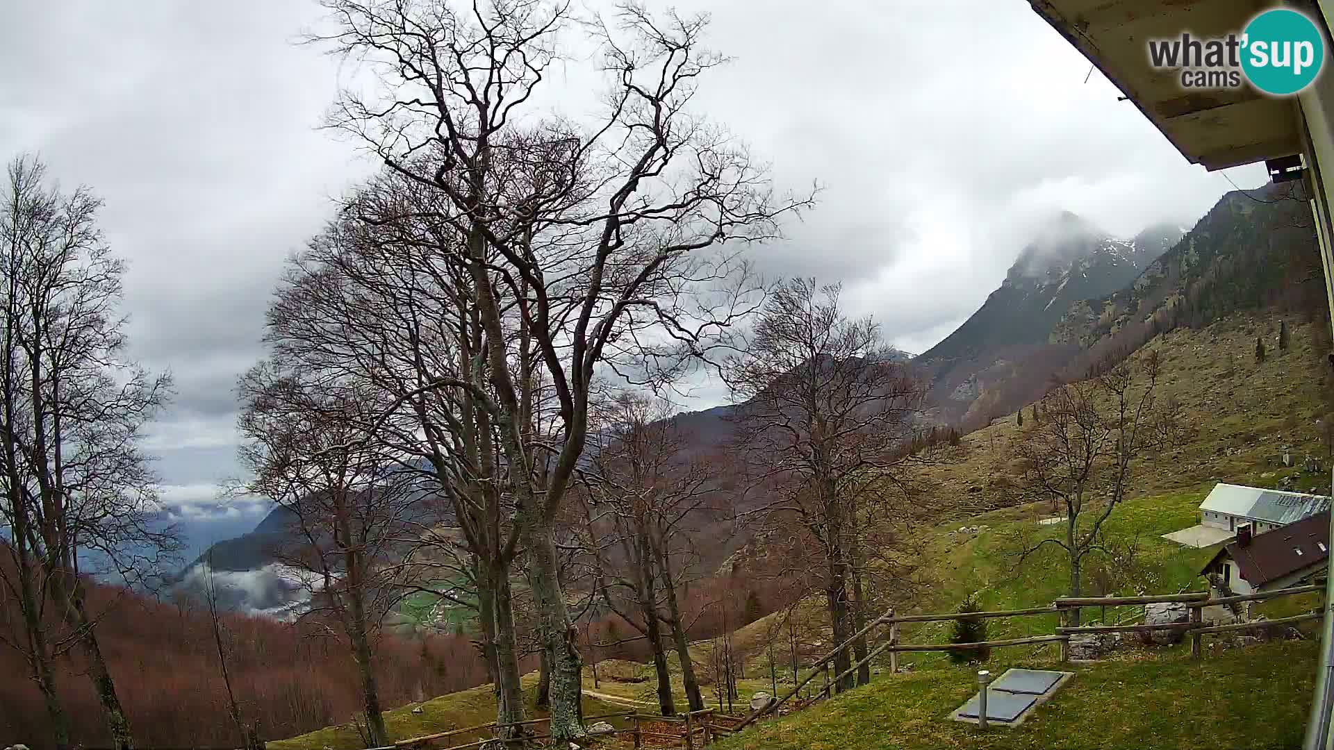 Planina Razor Mountain Hut live cam (1315) | view to Tolminski Migovec