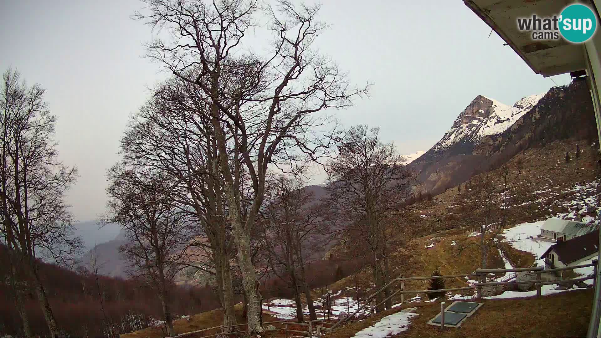 Planina Razor Mountain Hut live cam (1315) | view to Tolminski Migovec