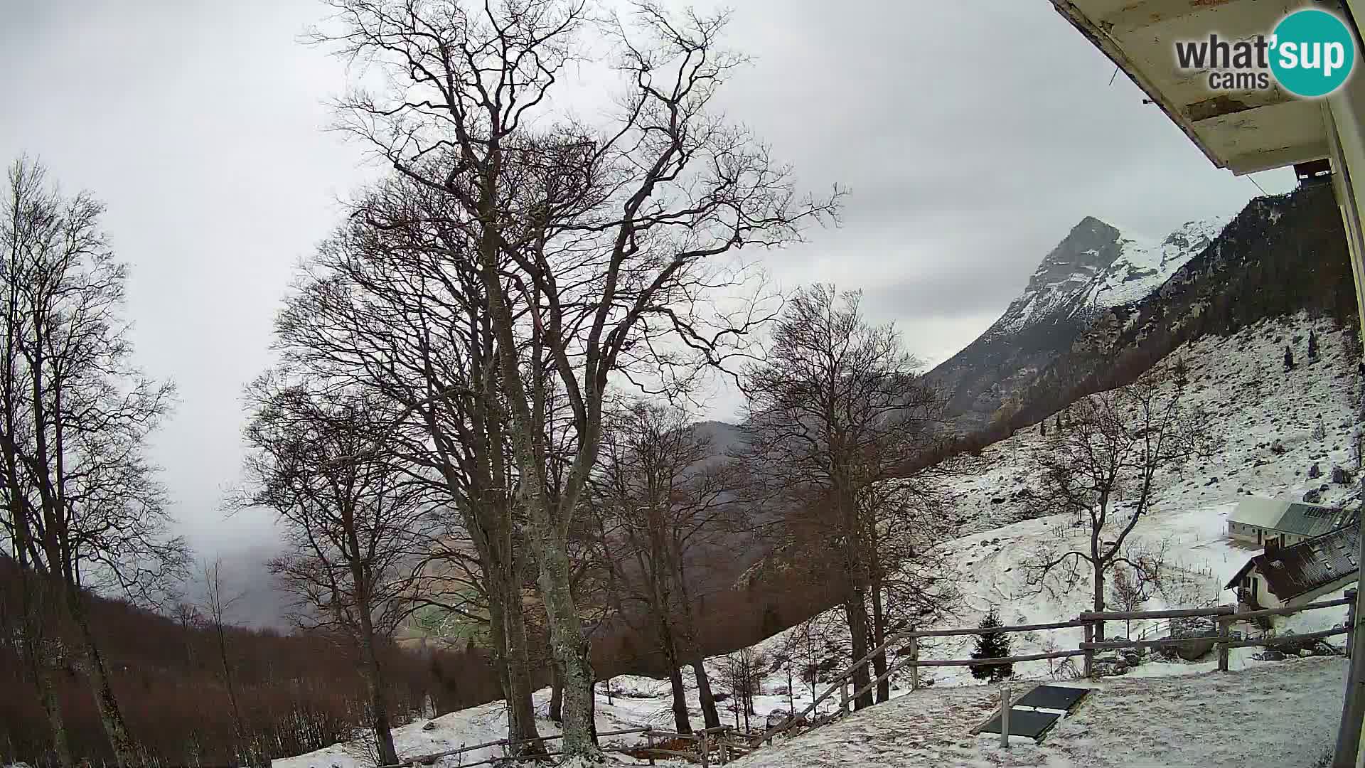 Planina Razor Mountain Hut live cam (1315) | view to Tolminski Migovec